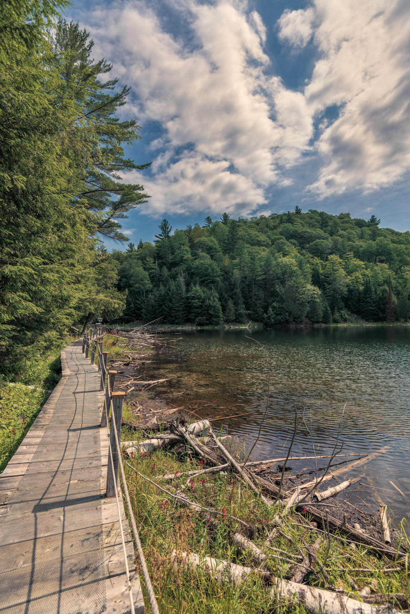I framed this shot so that the line of the boardwalk aligned with the lines of the clouds overhead.