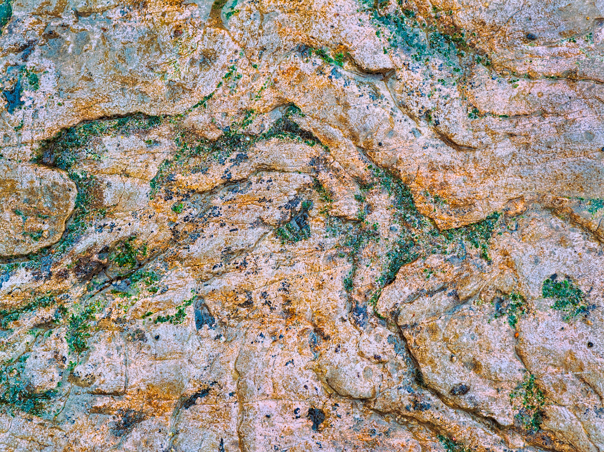 In truth, the rock was more grey than red, but who wants to look at grey rocks? I intended this as an abstract.