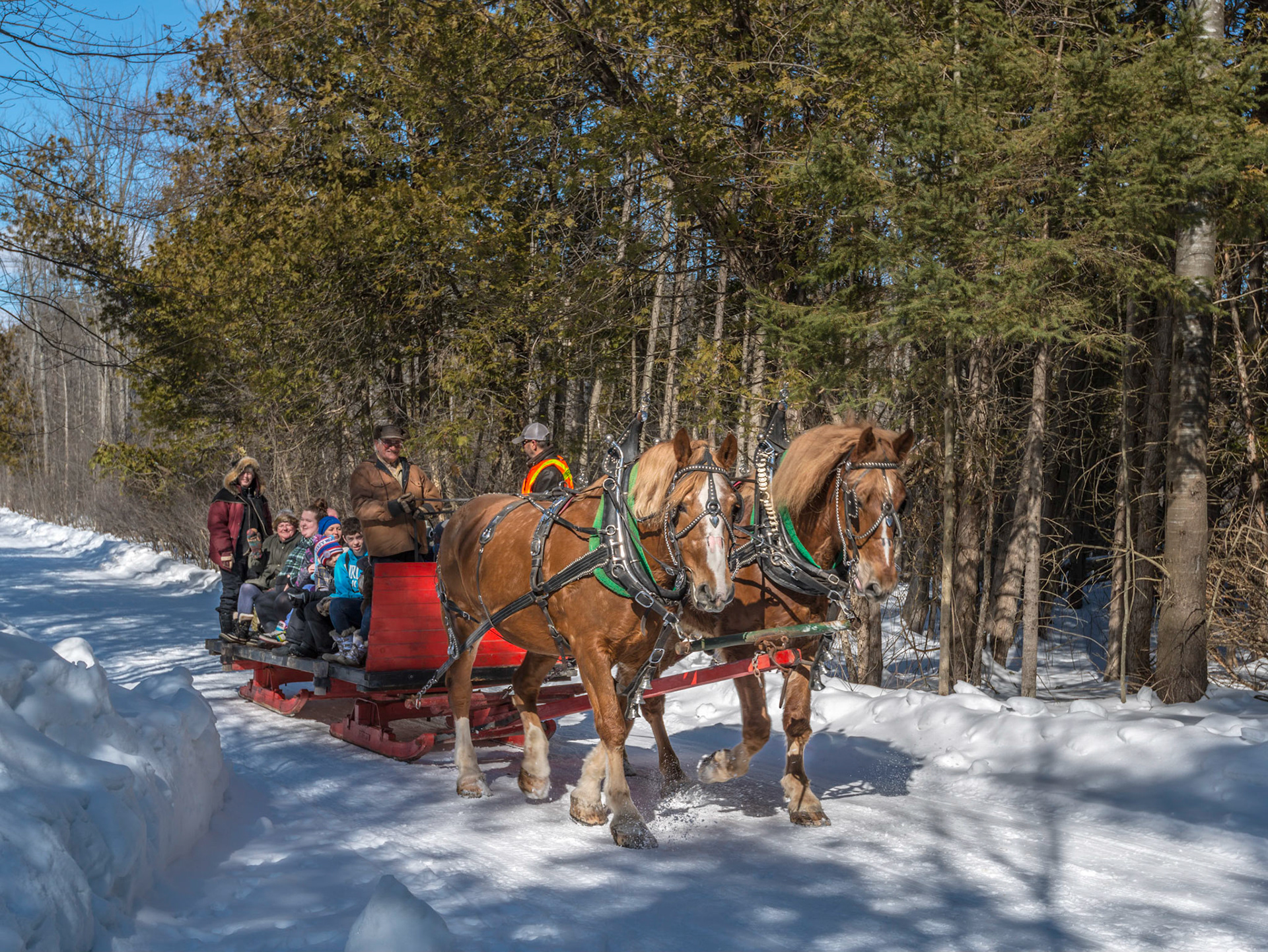 The Friends of Limerick Forest run several events during the year. On the day I visited they had sleigh rides and other activities for visitors.