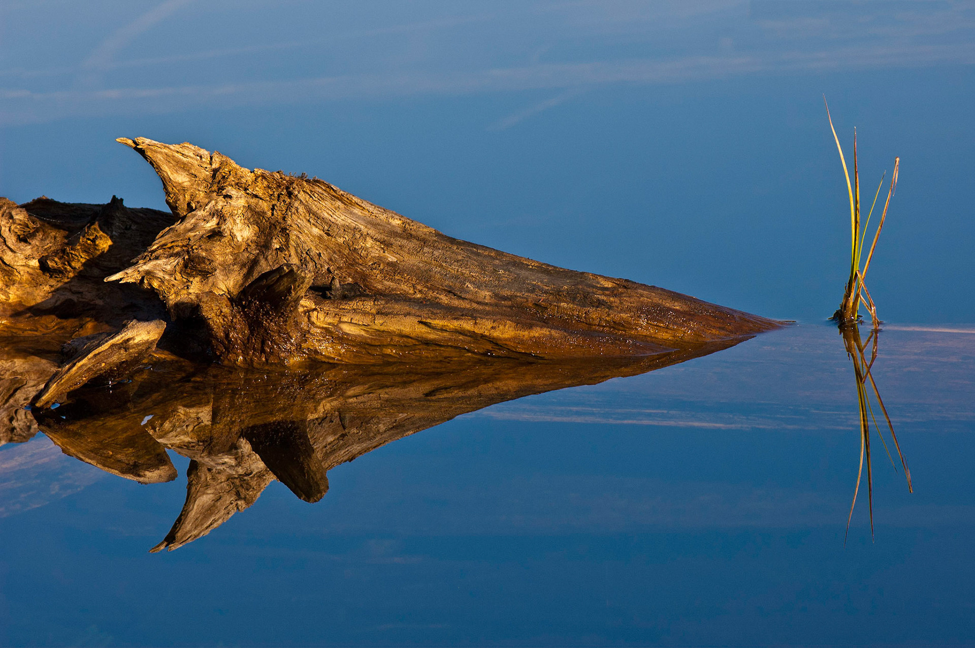 Foret La Blanche, Quebec; RA Photo Club Fall Challenge; October 2011