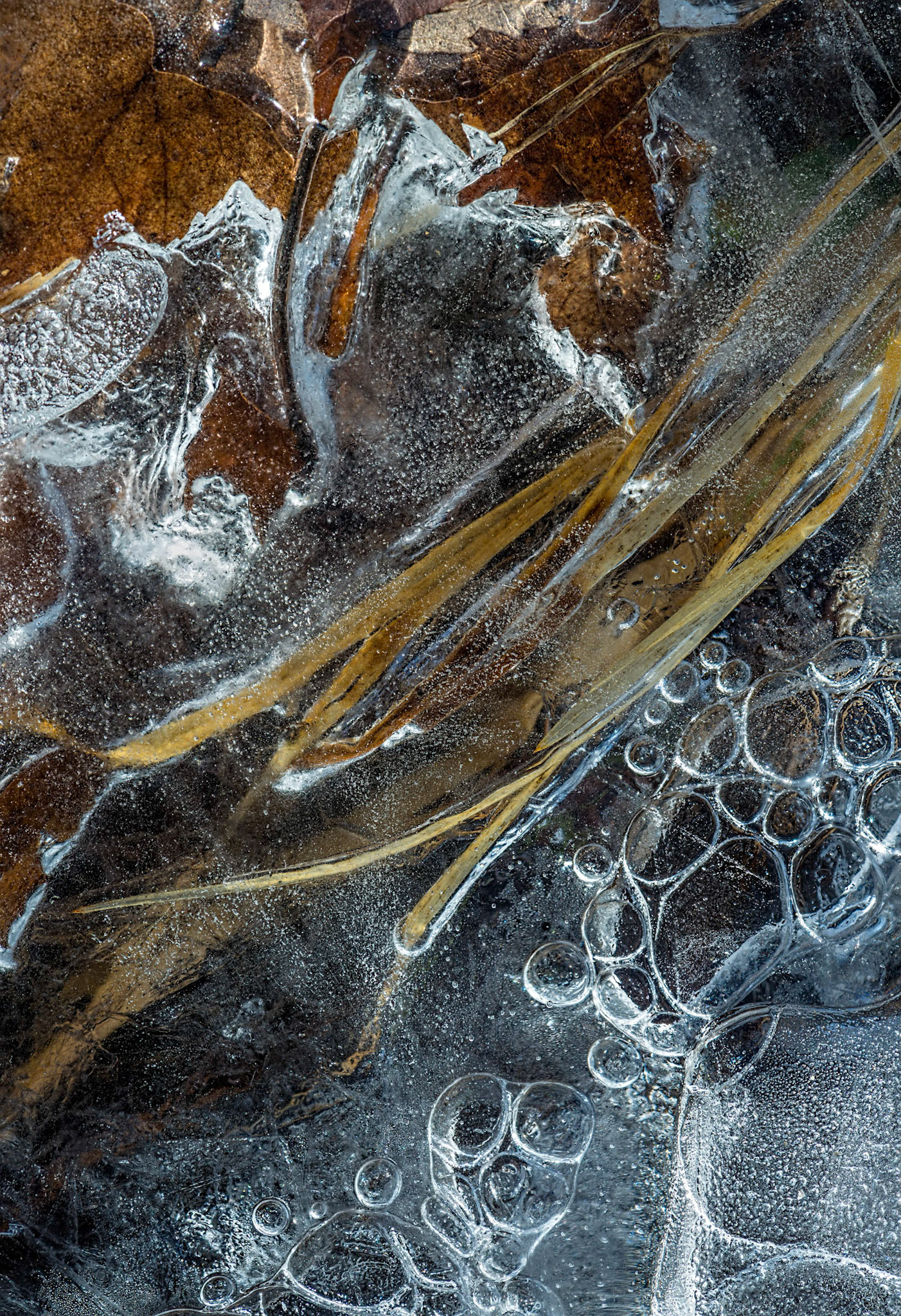 This photograph is full of contrasts that I find interesting: yellow against blue, lines and circles.