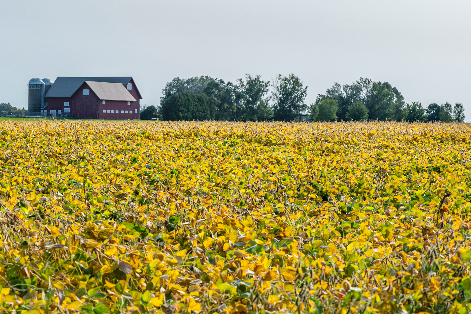Difficult to believe that this exists within the city of Ottawa. I could walk here from my home in less than an hour.