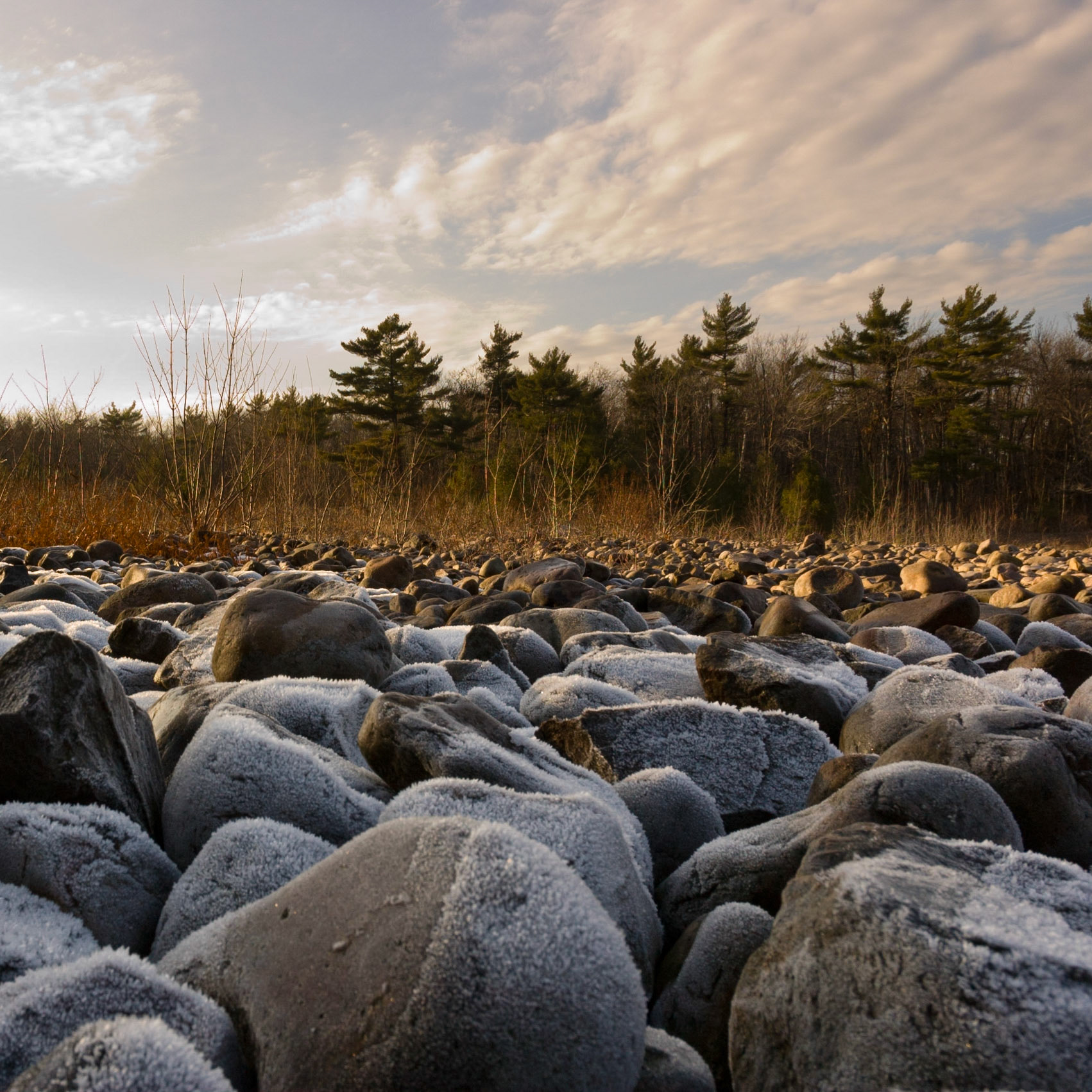 Rigaud, Quebec; RA Photo Club Iron Butt Outing; November 2006