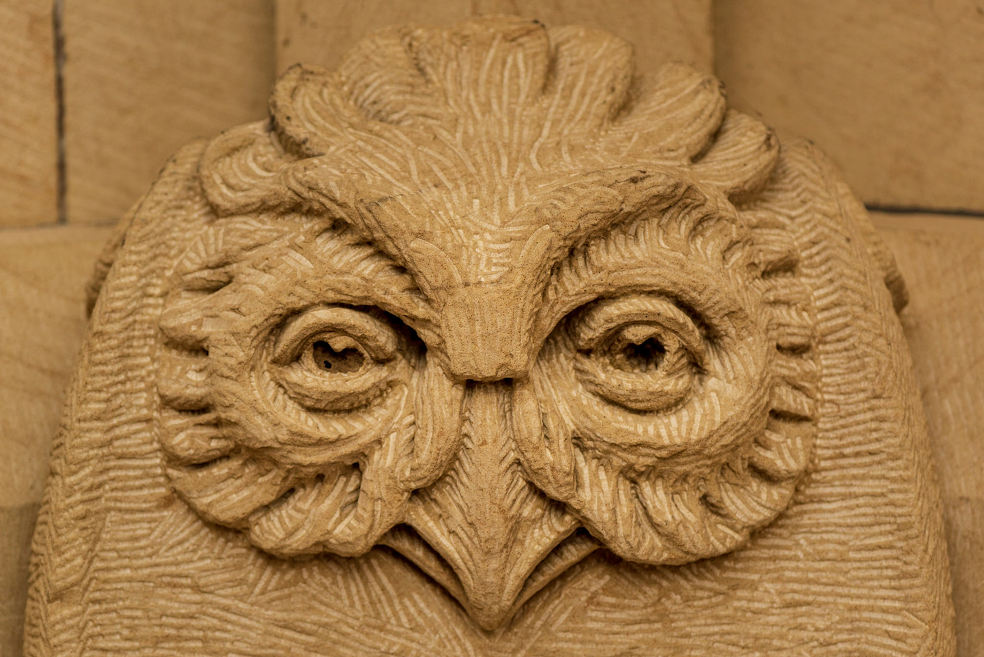 There are many decorative sculptures that adorn the buildings of Parliament Hill. This is one example chosen for its intense stare.