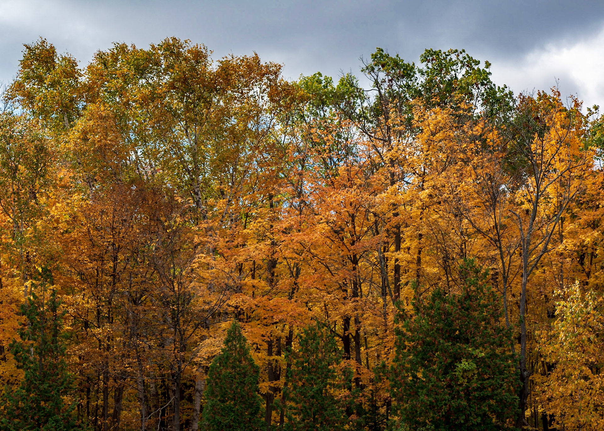 Sun breaking through the clouds helped to create this shot, featuring the contrasting colours yellow/orange and blue.
