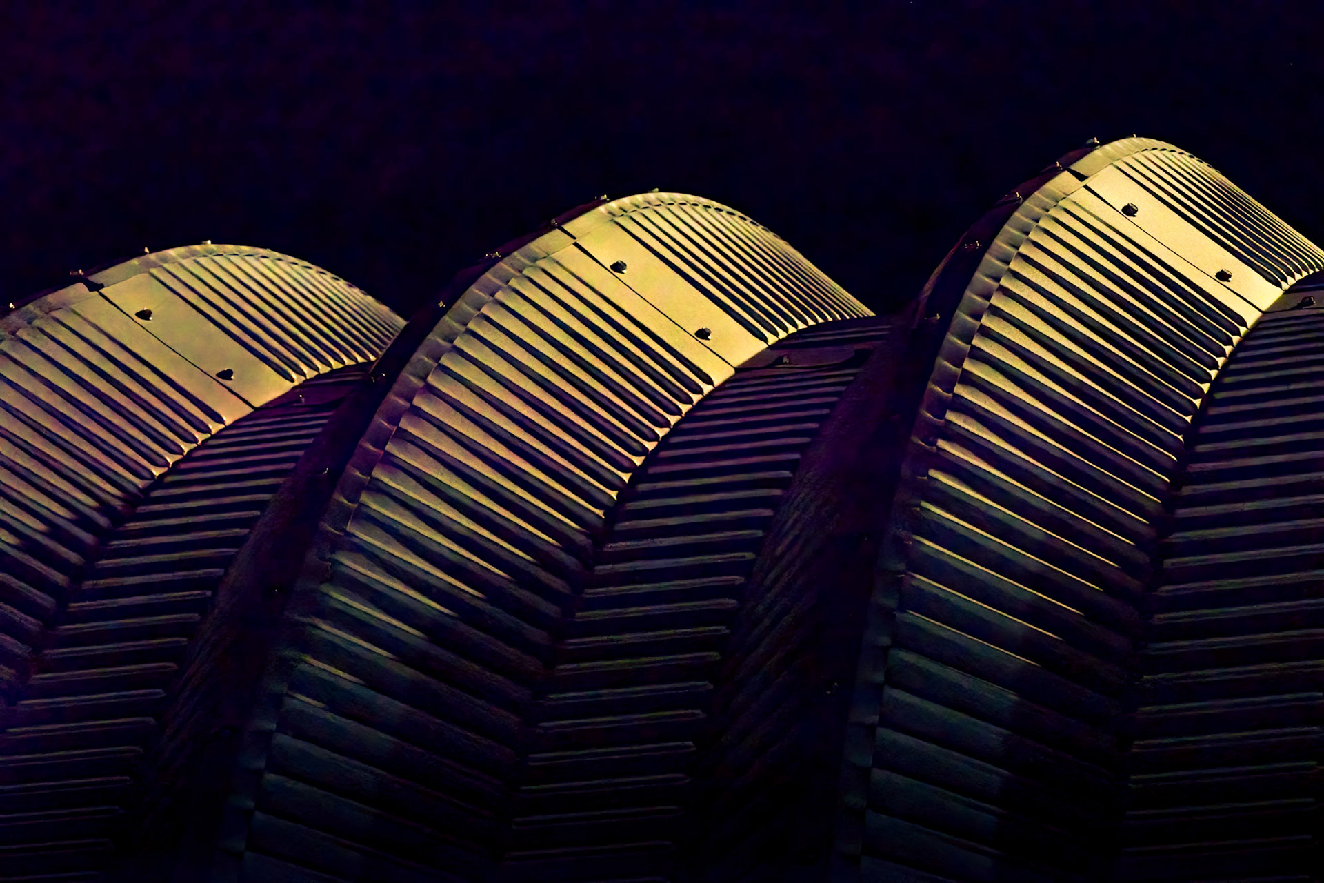 A different view of the roof of a storage shed. [ISO 25600, 105 mm, f/8.0, 1/100s]