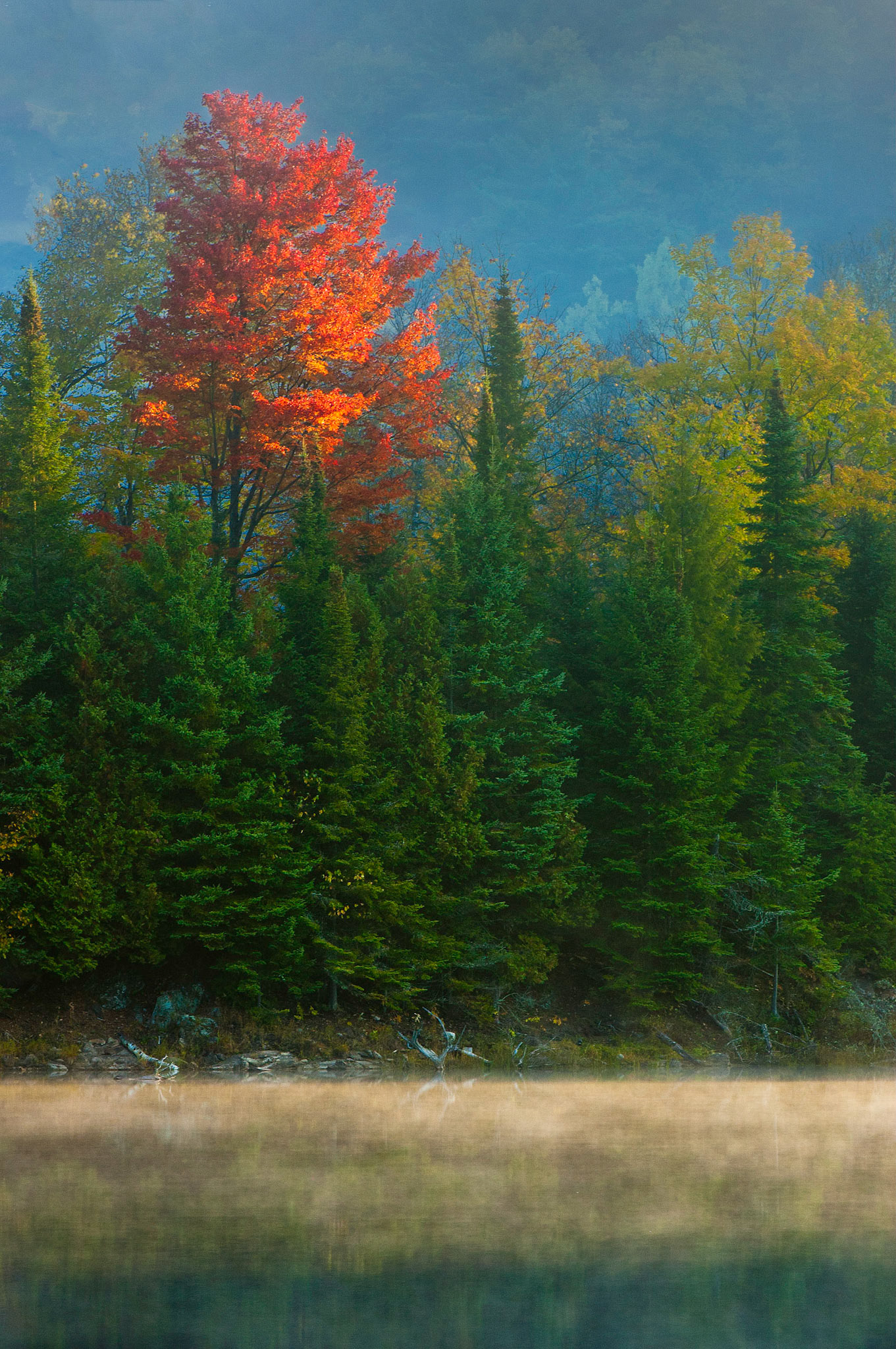 Foret La Blanche, Quebec; RA Photo Club Fall Challenge; October 2011