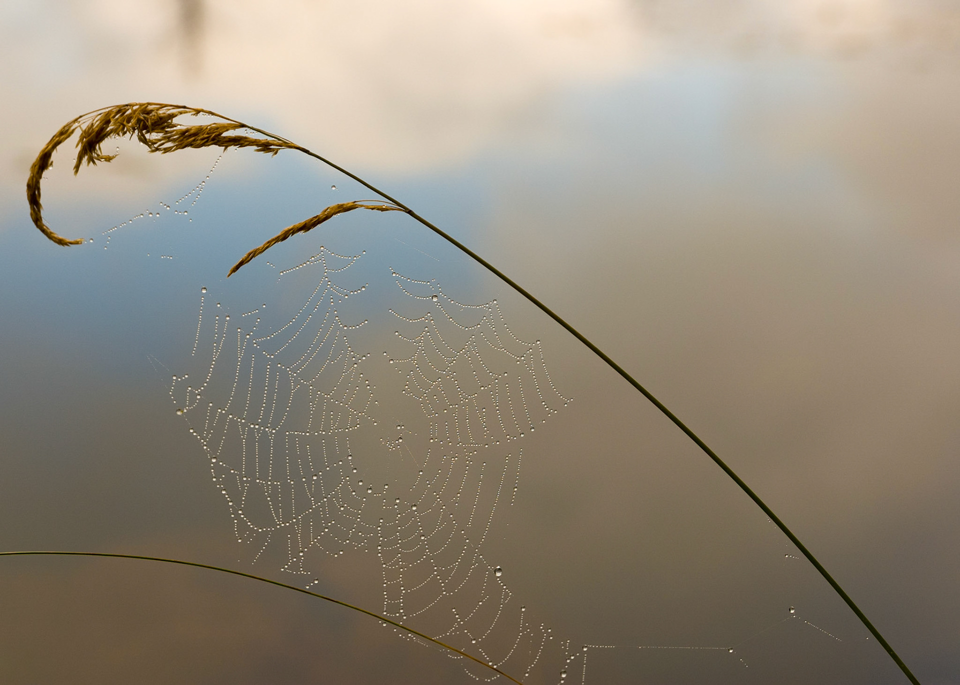 Lac Fortune, Gatineau Park, Quebec; RA Photo Club Outing; September 2008