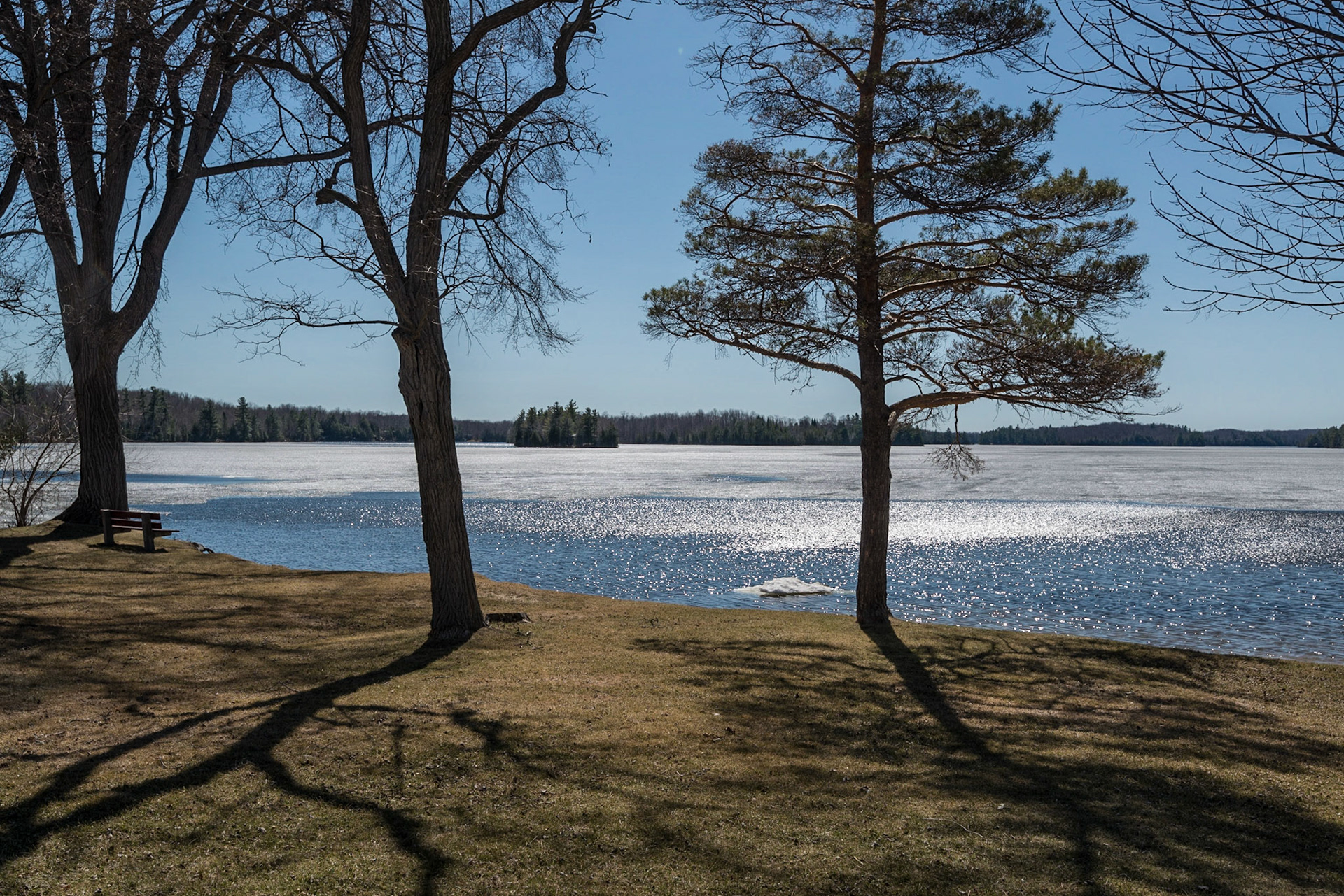A park near the causeway provided an interesting venue to photograph the backlit ice at Sharbot Lake