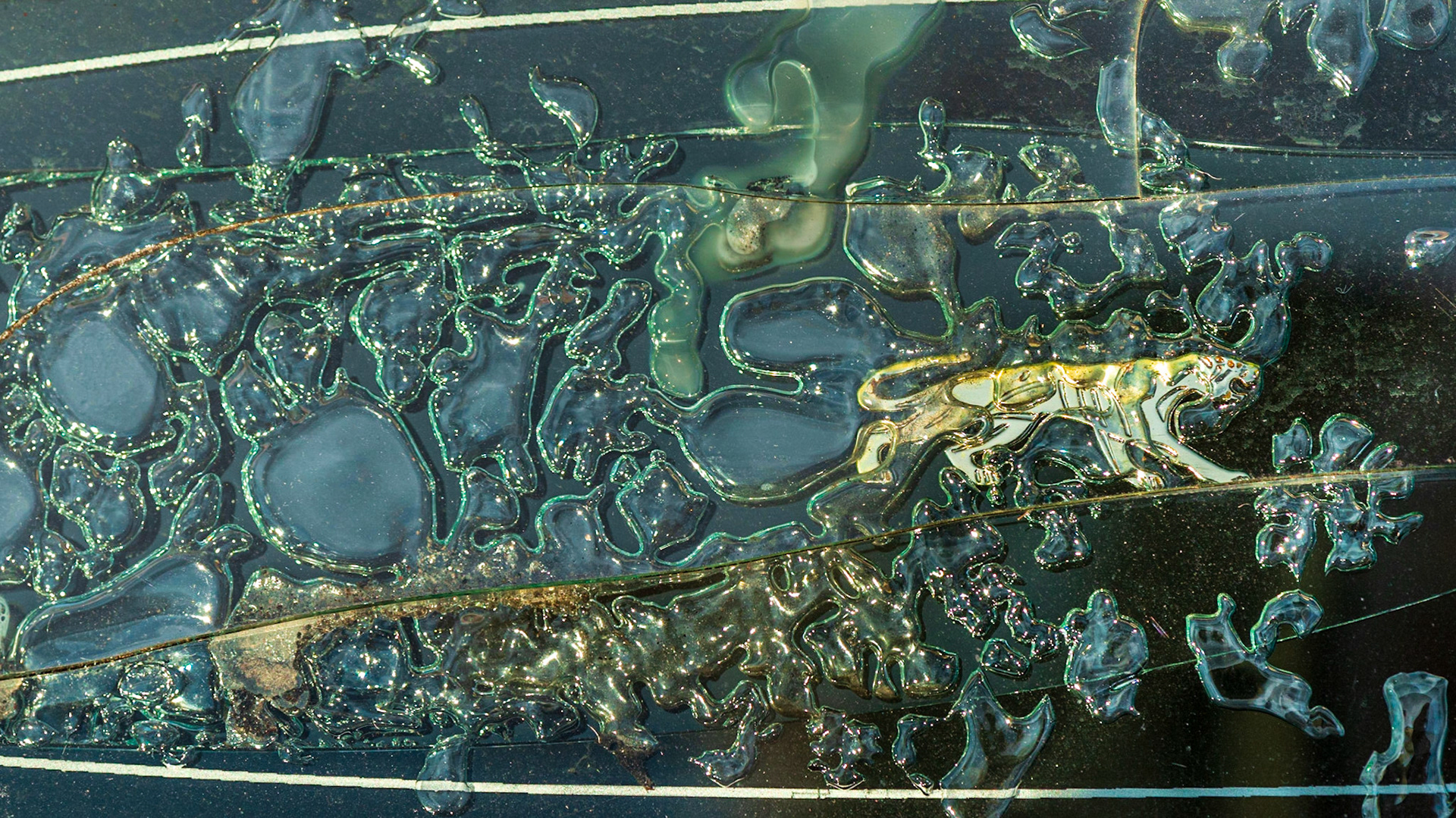 A detail on a side window. The cougar (I assume) seems to be walking along the crack to escape the cloud of blobs that are pursuing it.