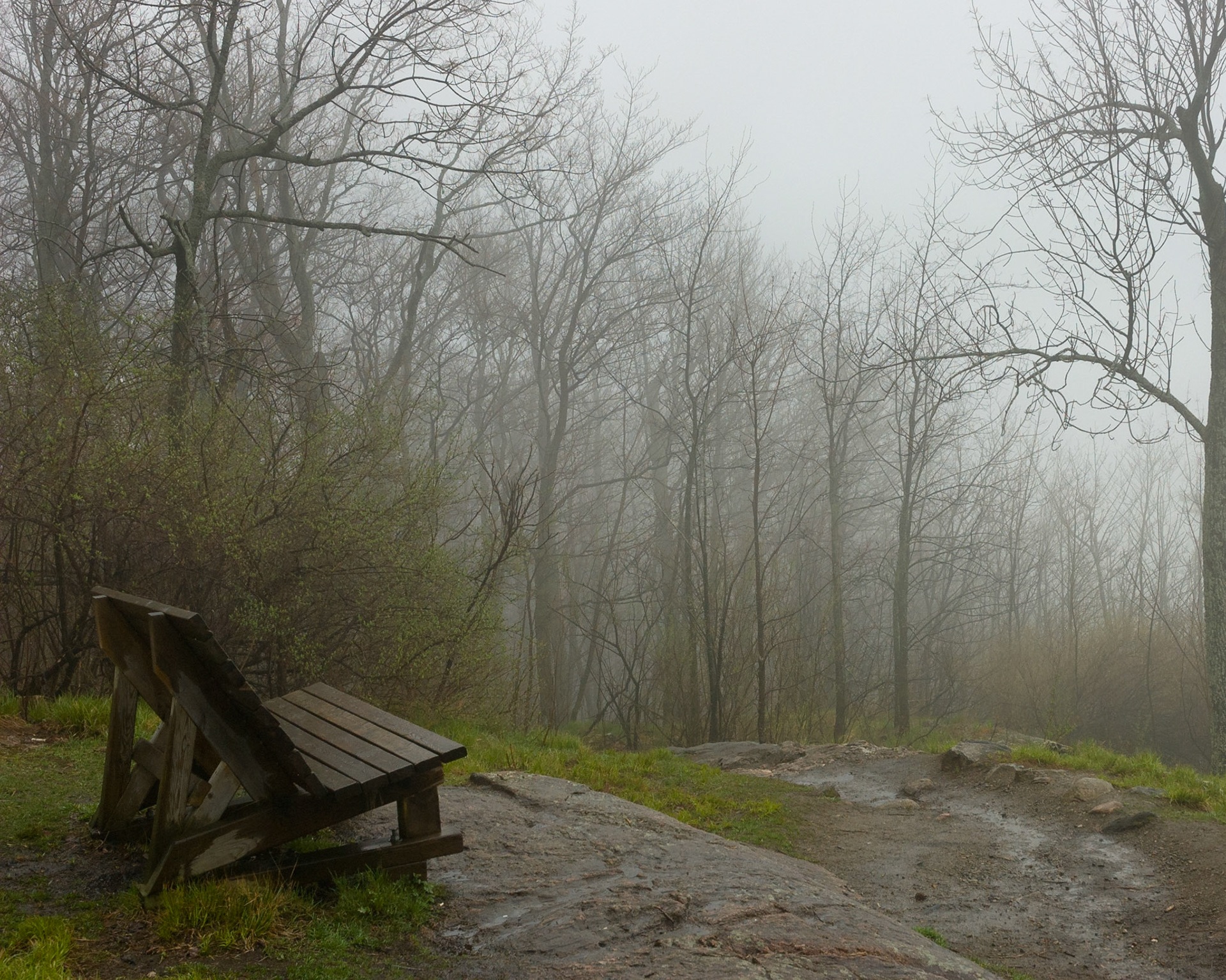 Larriault Trail, Gatineau Park, Quebec; RA Photo Club Outing; April 2007