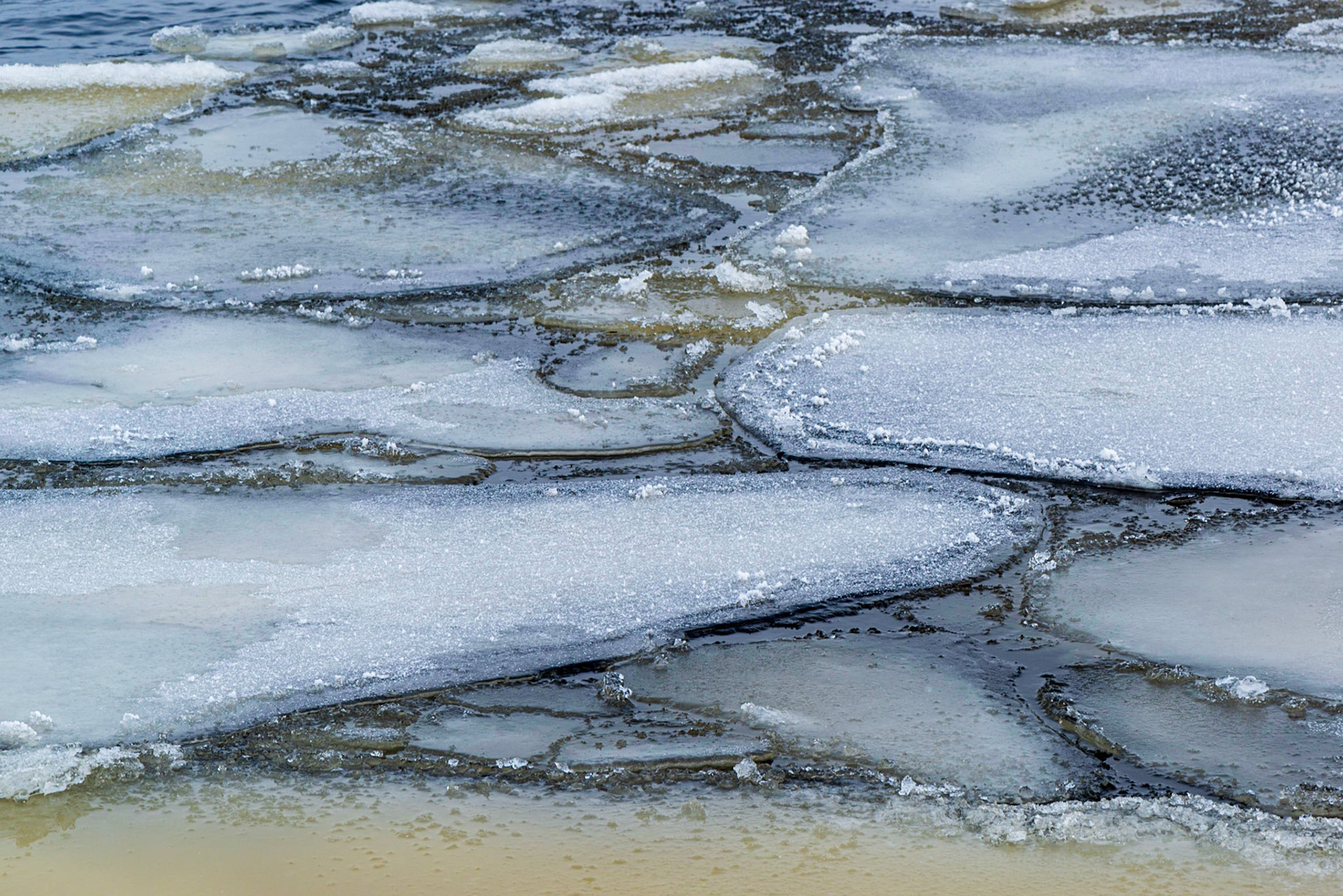 These ice floes on the Ottawa River had very attractive blue and yellow hues. I chose a composition with the intent to balance the colour contrasts and the shapes of the ice.