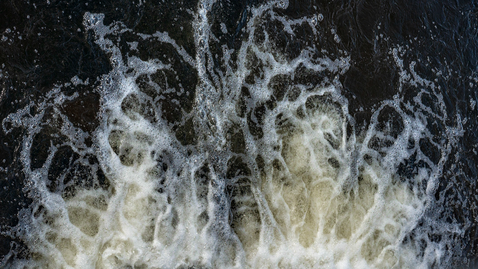 A graphic image that I framed and rotated to be reminiscent of a sunrise or rising flames.