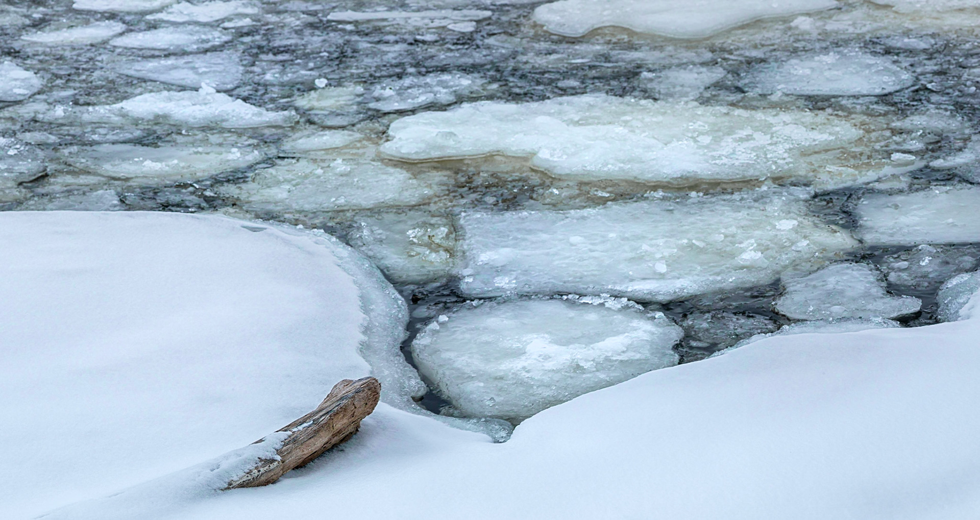 To my eye, the branch seemed to be directing my attention to the floating ice. This is a horizontal panorama.