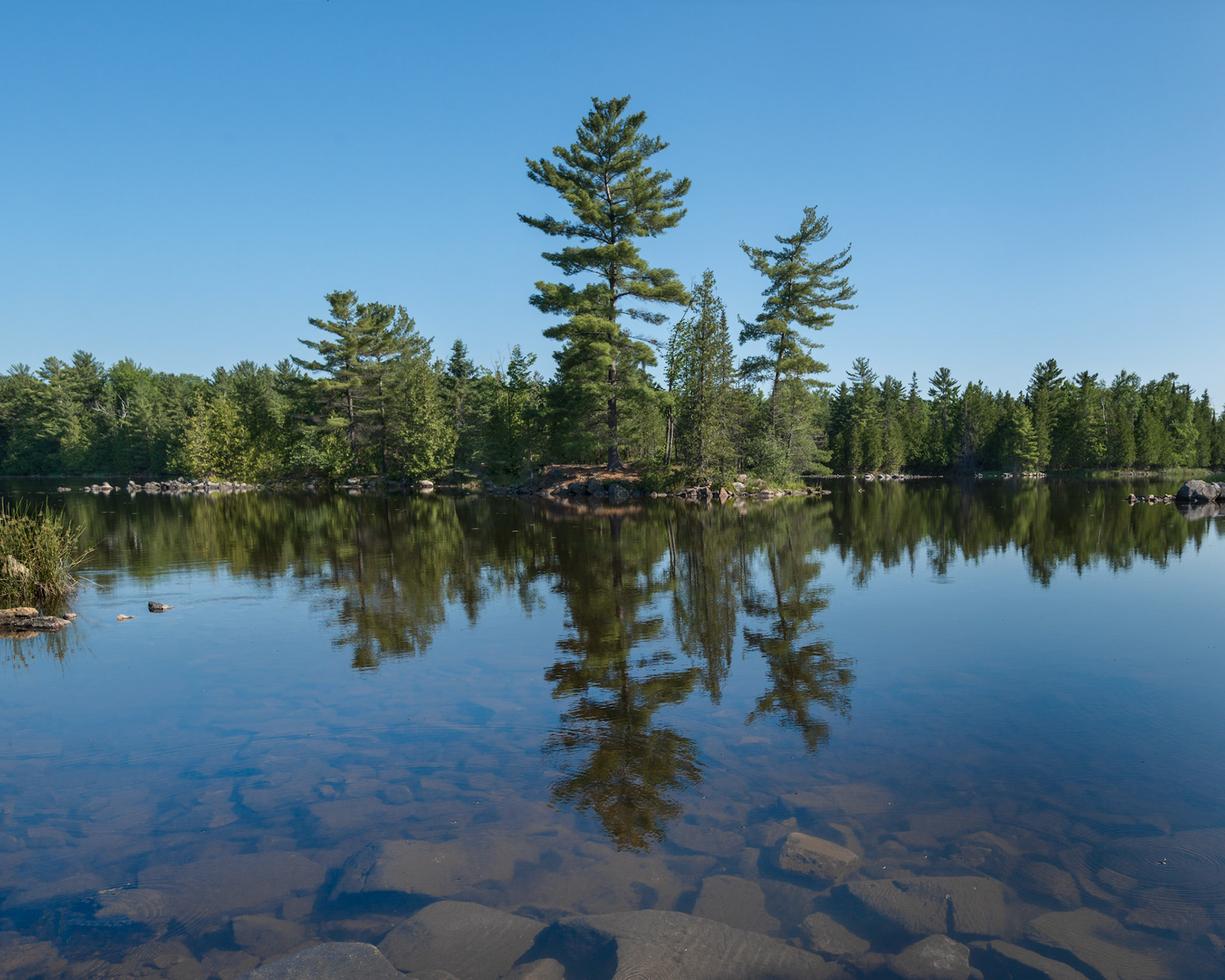 The conservation area has many scenic lookouts. This particular view is from one just across the causeway.