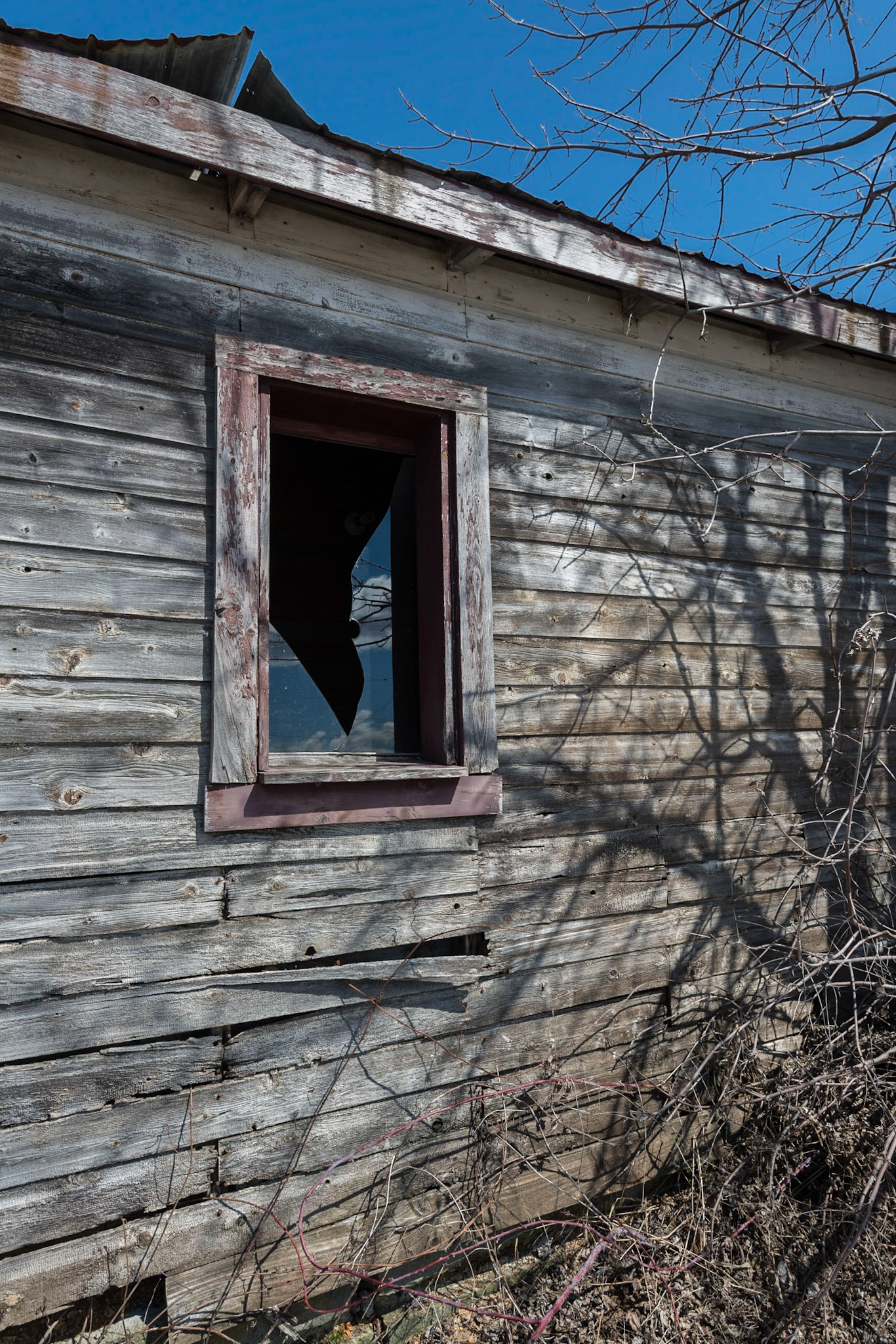 Weathered wood and clouds reflected in a broken window made for an interesting shot.