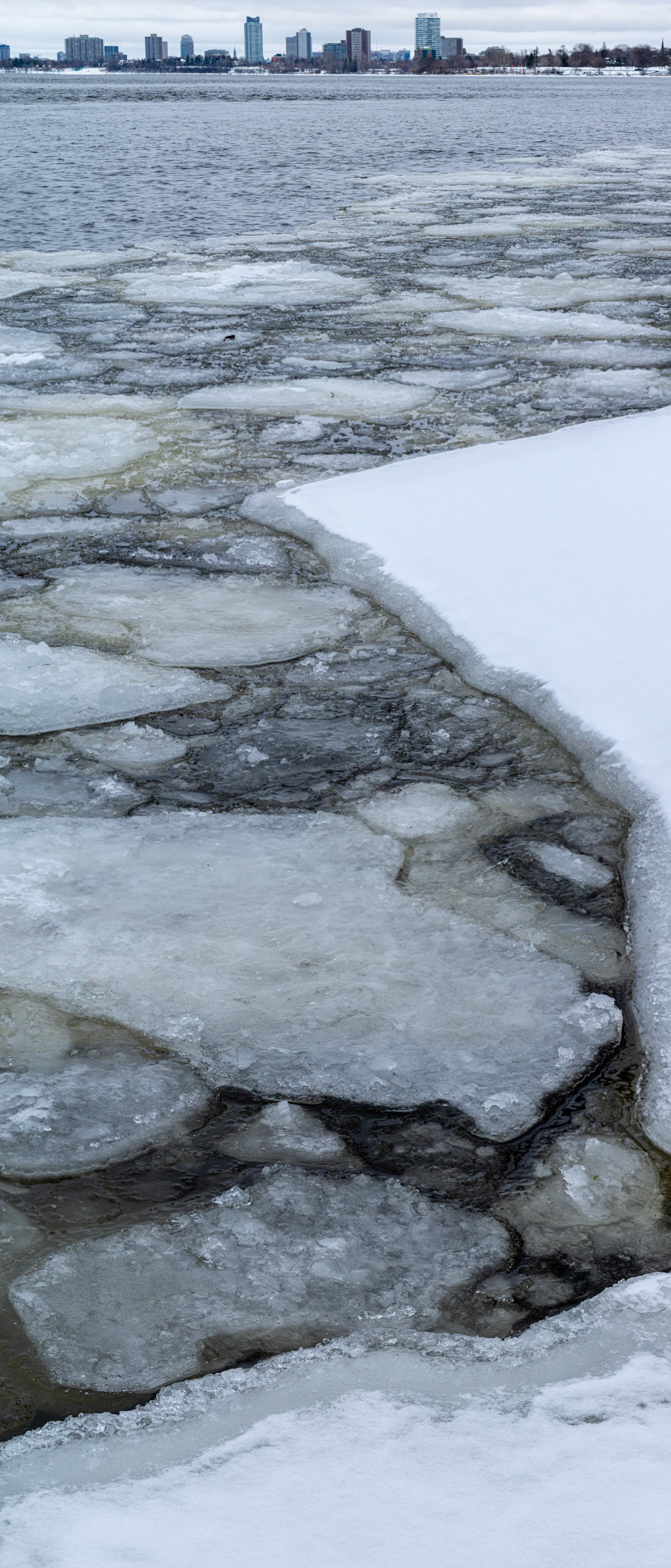 I included the sliver of skyline for contrast with the natural surrounding. This is a vertical panorama.