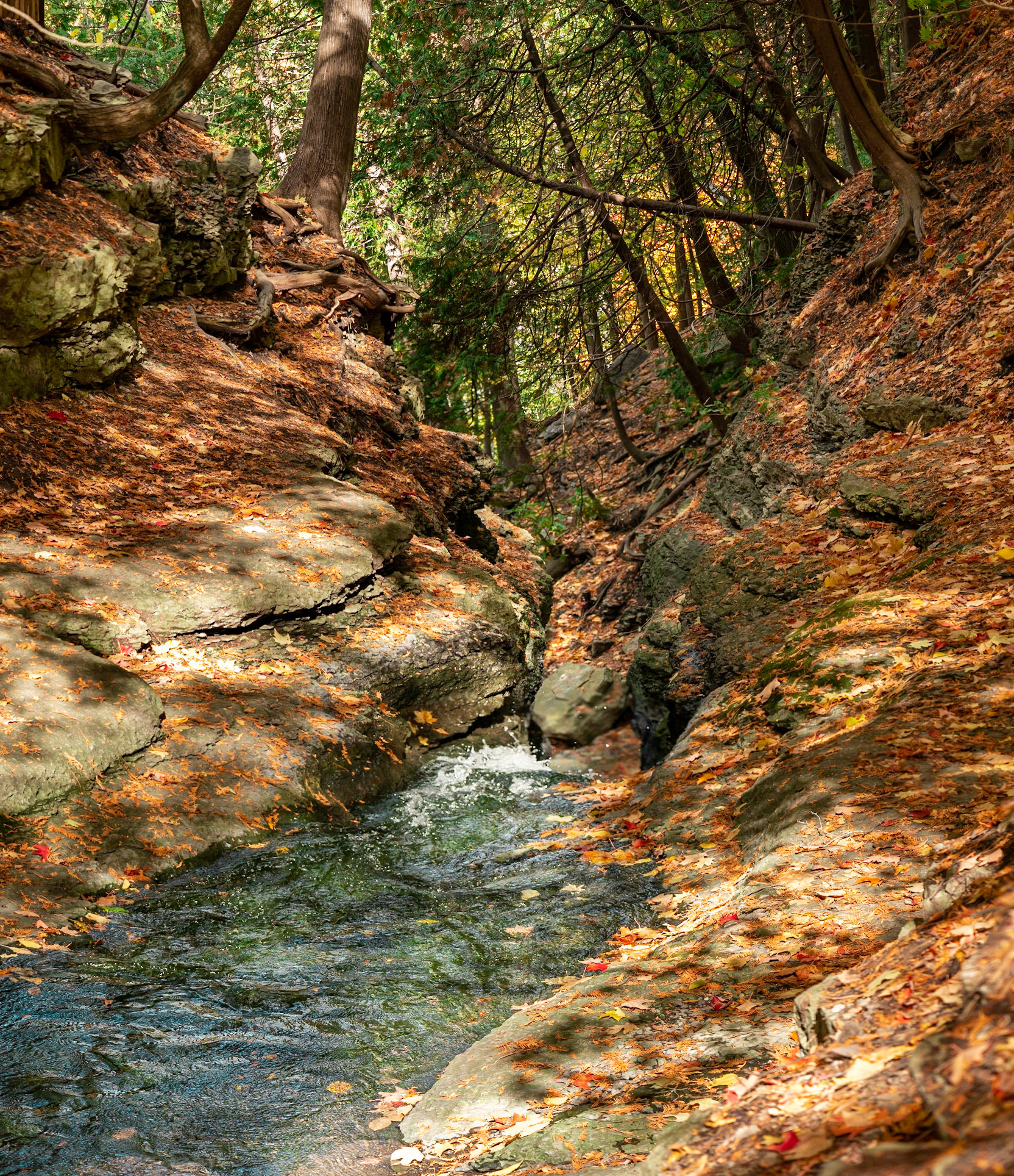 The terrain above the falls was very photogenic. I love the shapes and textures in this shot.