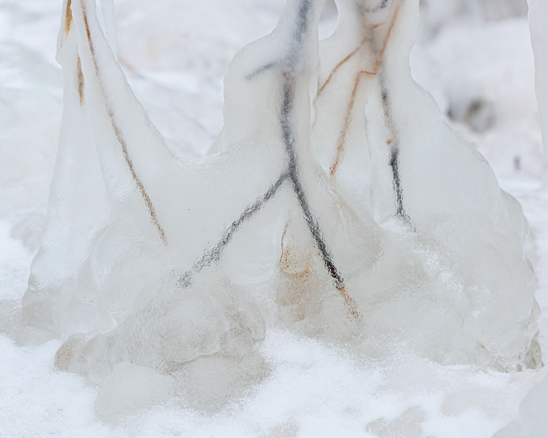 There were many examples of ice coated foliage along the river that I photographed. I particularly like this example for its simplicity and the arrangement of three ice mounds.