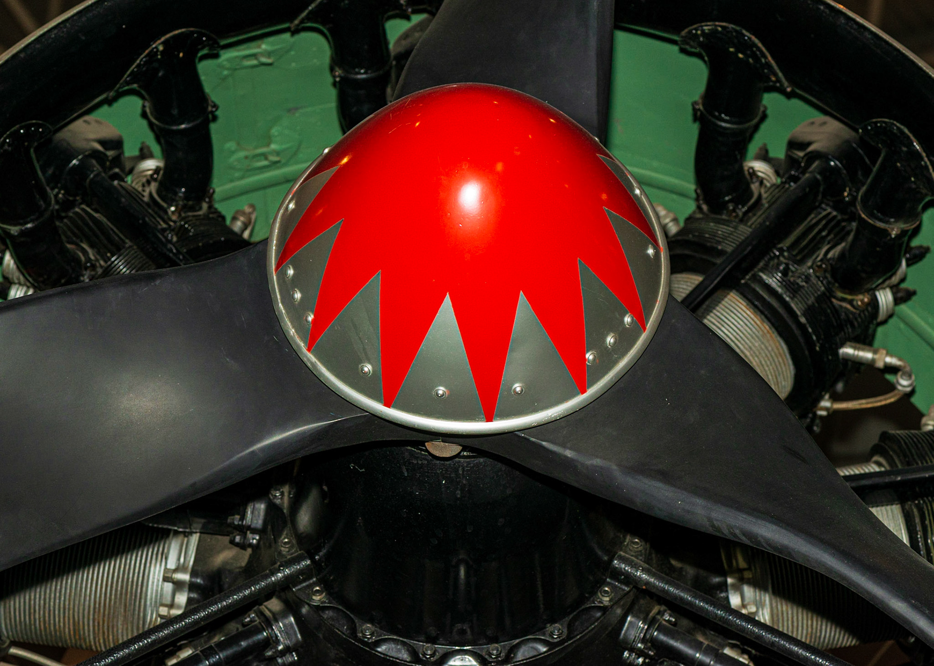 The red propeller cap is striking, and is set against adjacent areas of green, with the fins of the propeller drawing the eye inward.