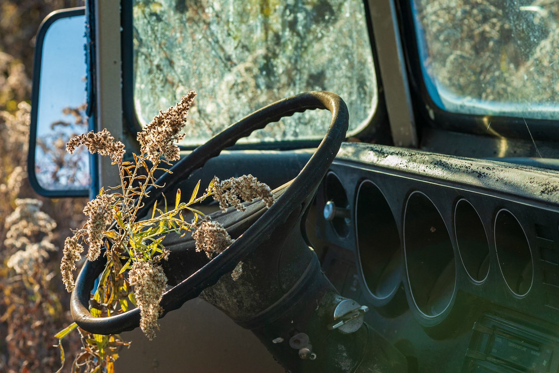 This shot speaks to the work of nature to reclaim that which is human made and offers a juxtaposition of the natural and unnatural. The repetition of ovals coming from the right also lead the eye to the plant and help the shot.