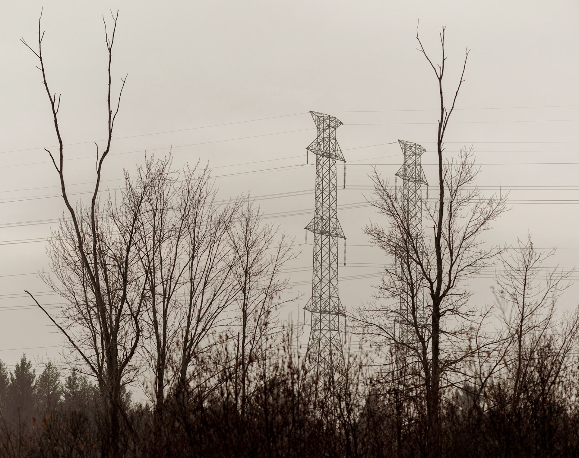 I was feeling sad when the outing began, and sought to express that in this photo, with lifeless trees juxtaposed with electrical towers, and an intentionally desaturated look.