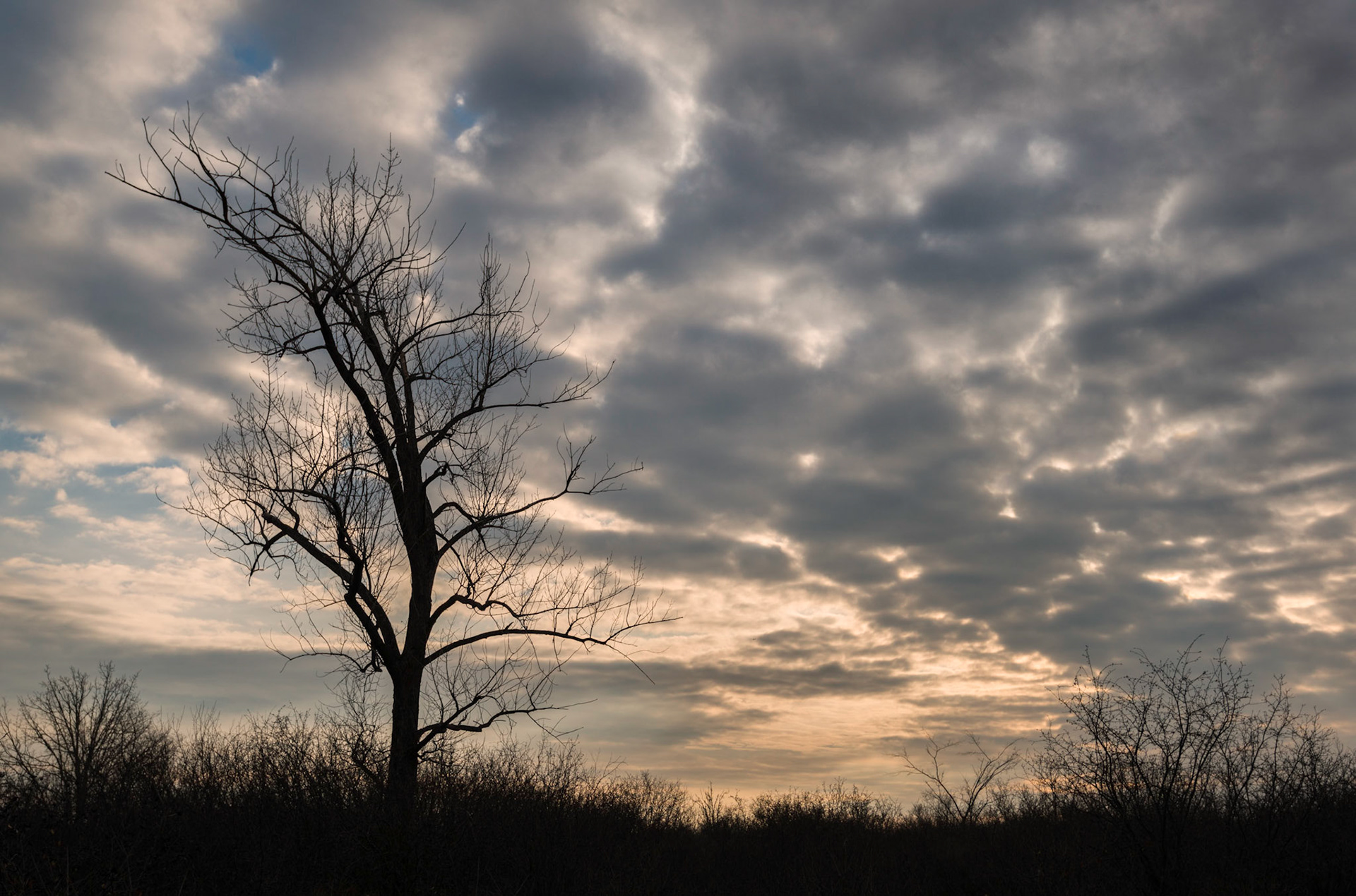 The lonely tree is a common subject and silouettes are a common technique. Here I've combined them with interesting clouds and a sunset.