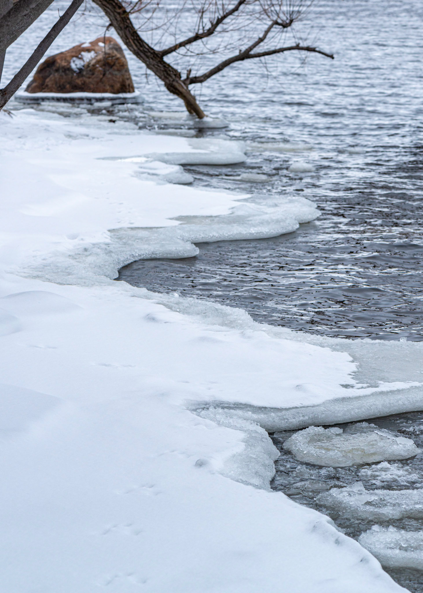 Shoreline of the Ottawa River. I positioned myself to frame the rock between the tree branches. There is also a nice diagonal at work in this shot.