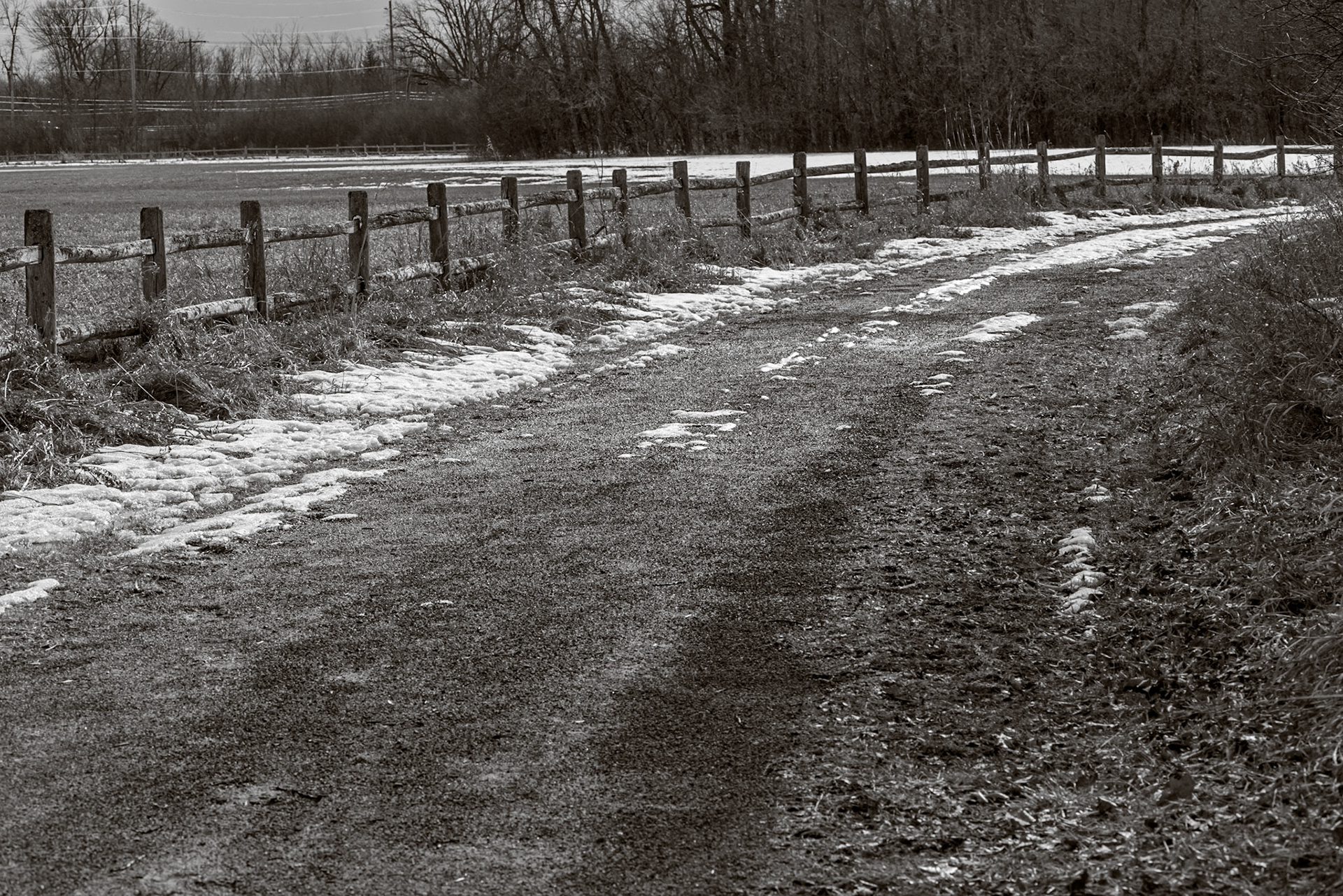 At the furthest extent of our journey we found a lovely sweep of road and fence. With little surrounding foliage, the sun had already melted most of the snow.