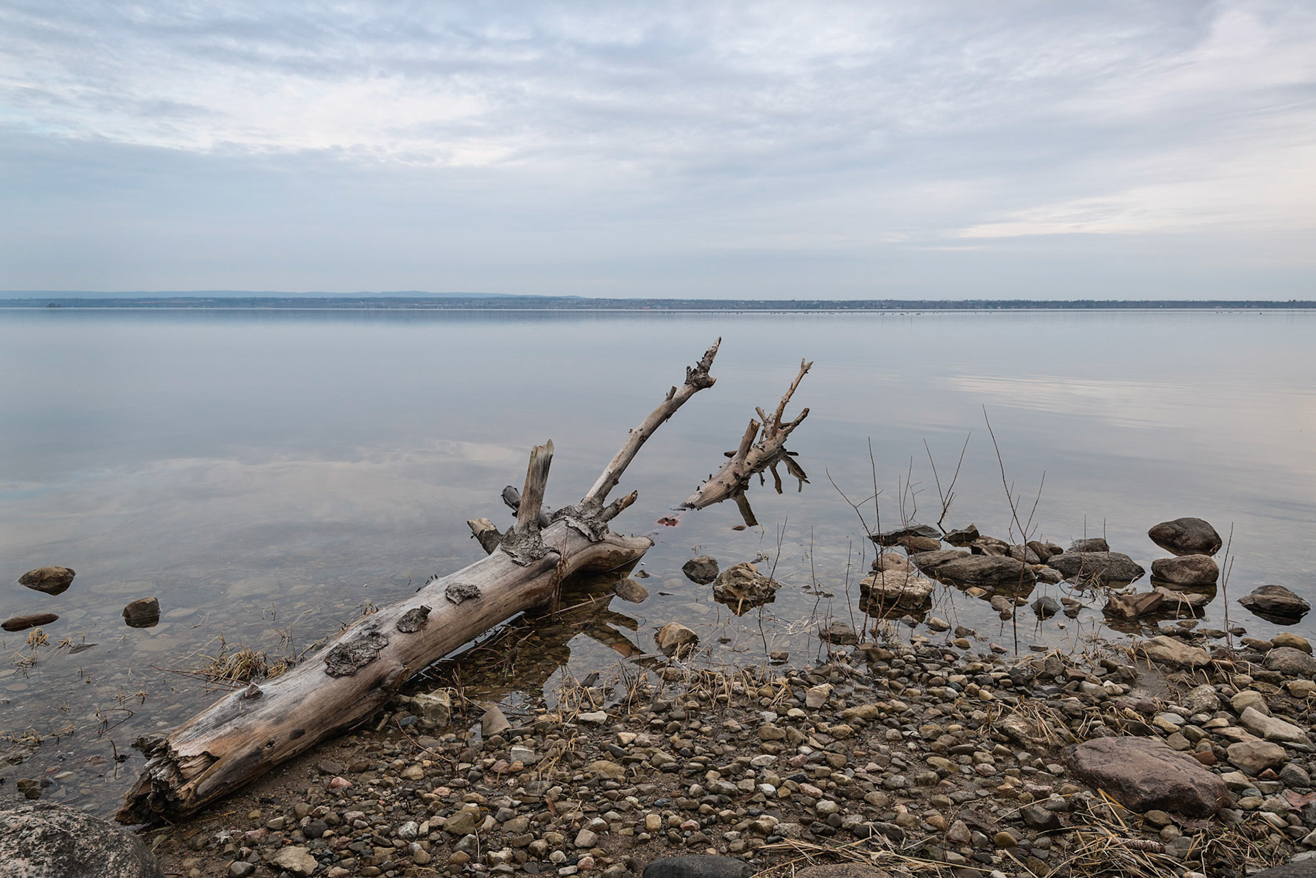Somewhat of a study of stillness and solitude. A strong foreground is placed against a very quiet background.