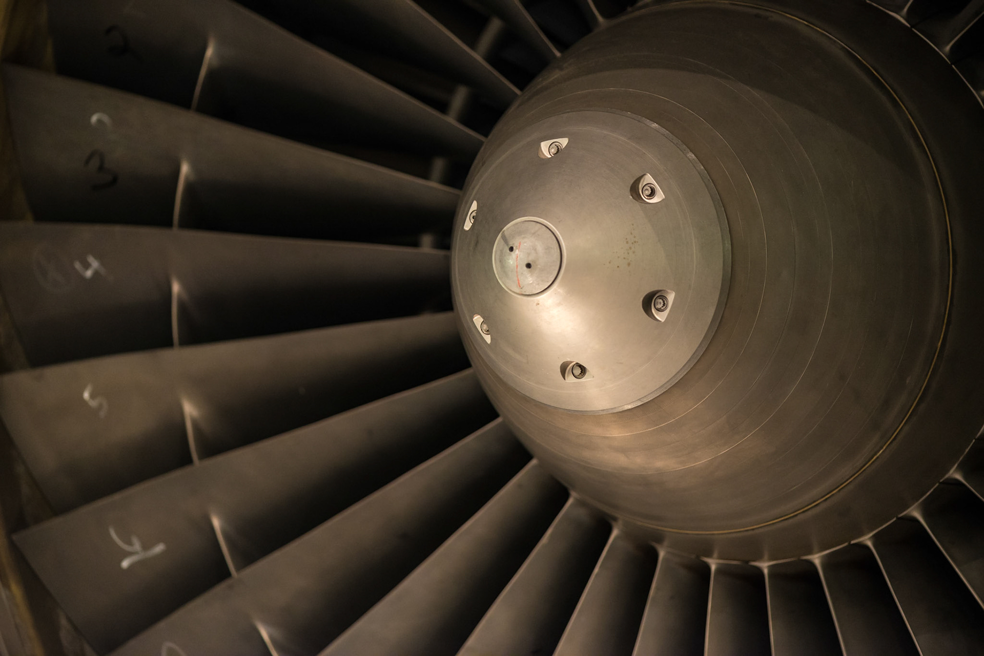 The concentric circles in the midst of leading lines formed by the fins are the basis of this composition. The numbering on the fins also adds interest.