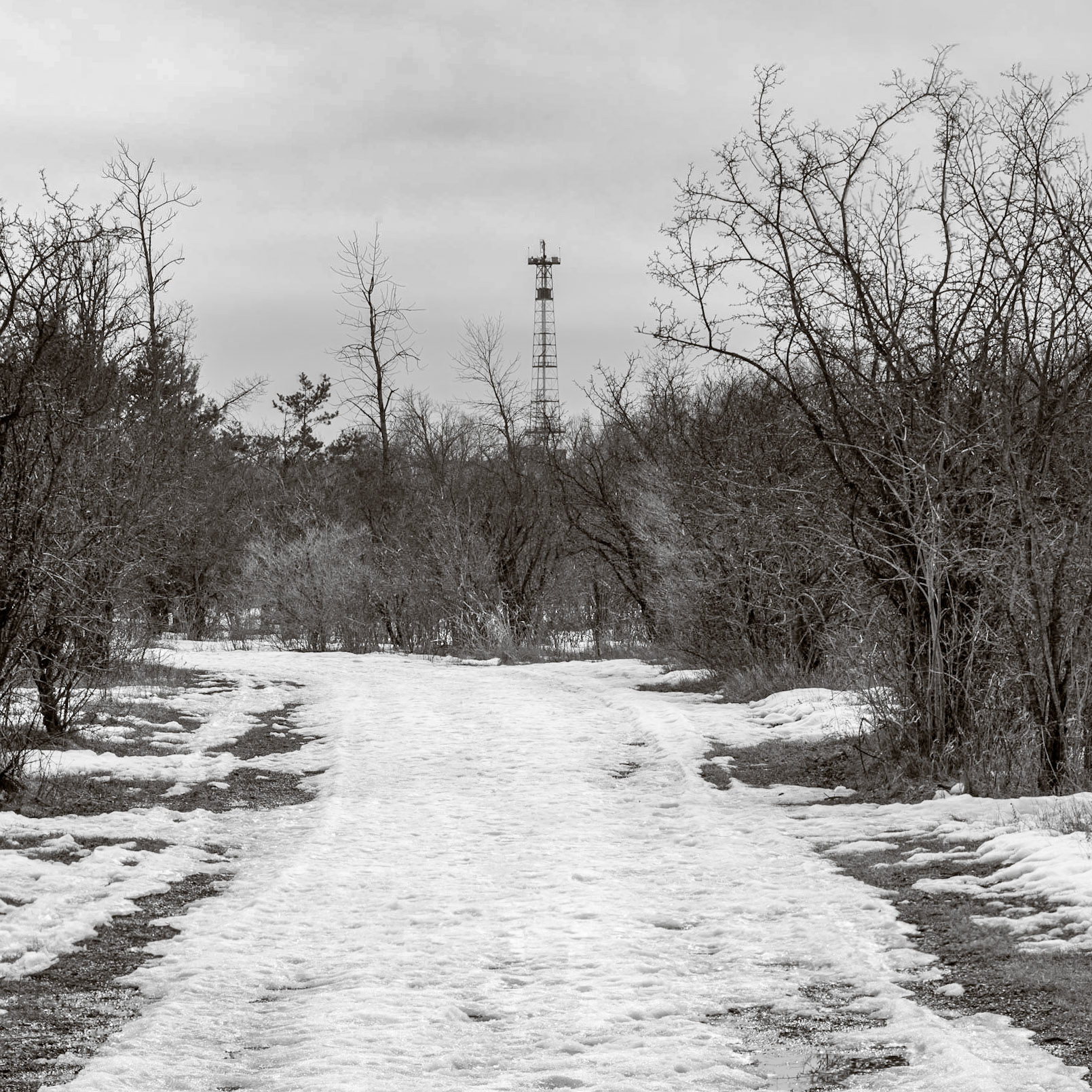 The trail we followed was easily wide enough for skiers to pass one another. There were hints of ski tracks remaining, but most of the snow had melted.