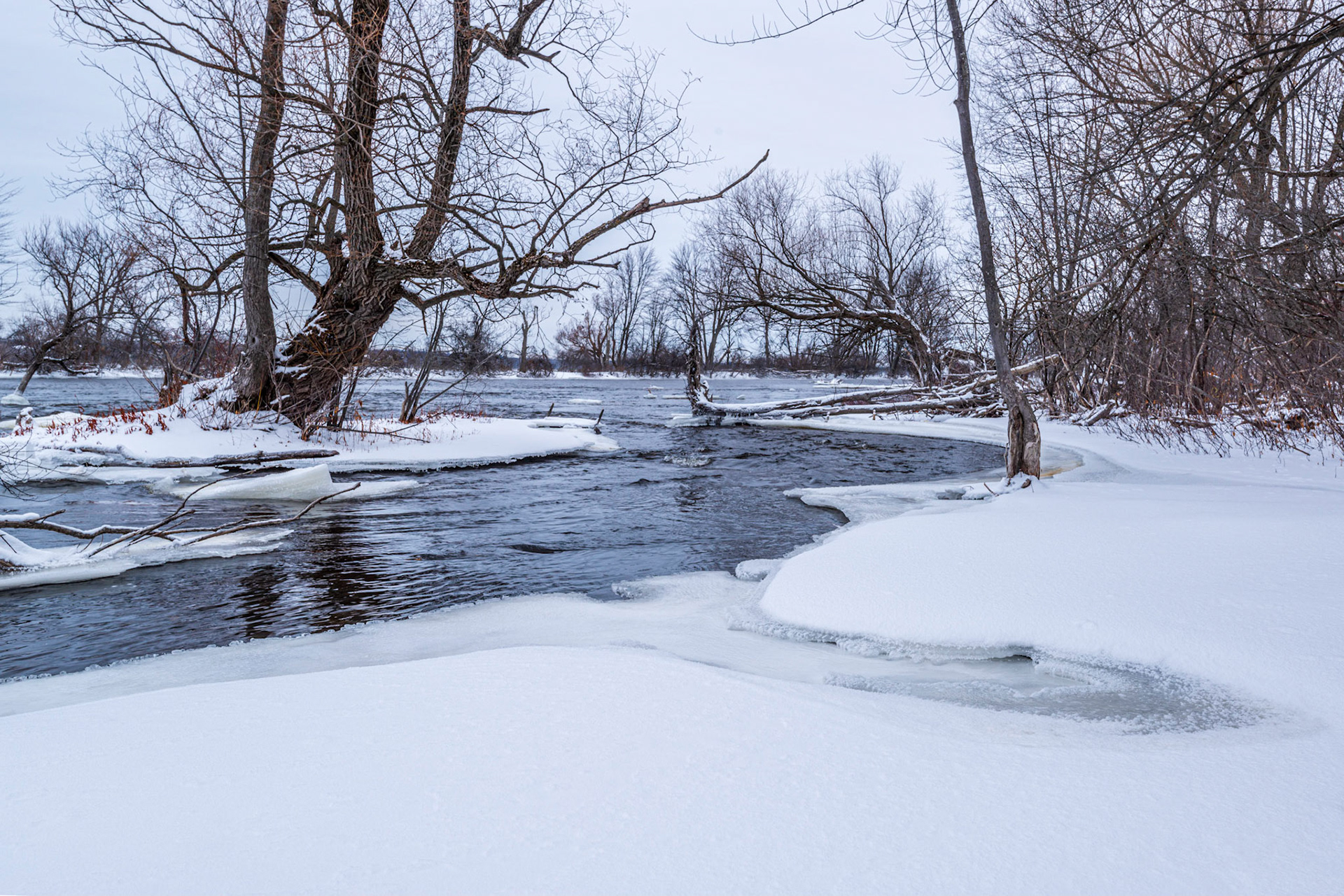 The shape of the foreground indentation in the ice intrigued me, and I positioned it to point to, and balance with, the tree on the island in the middle ground.