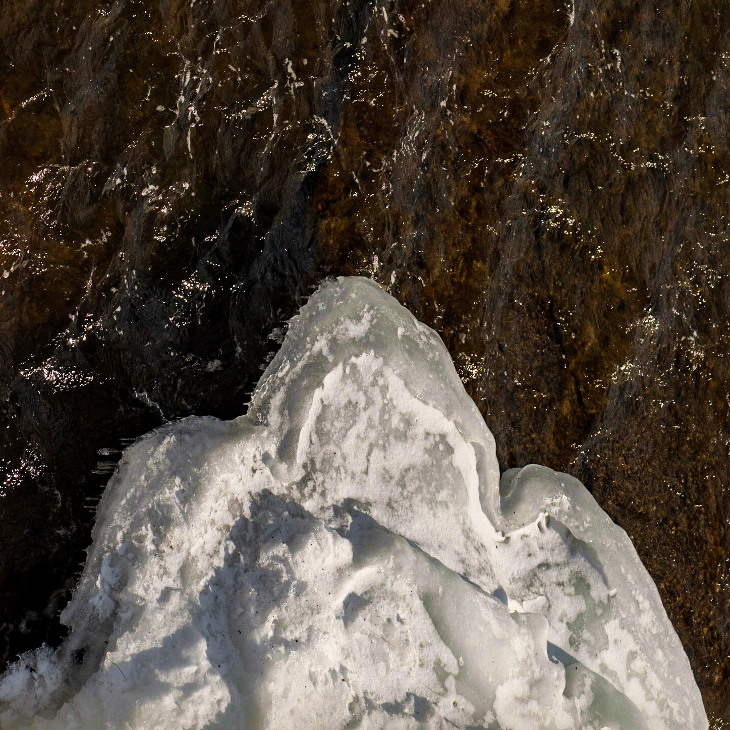 I framed this to capture the strong triangular shape, and then rotated the image so the triangle would point upward.