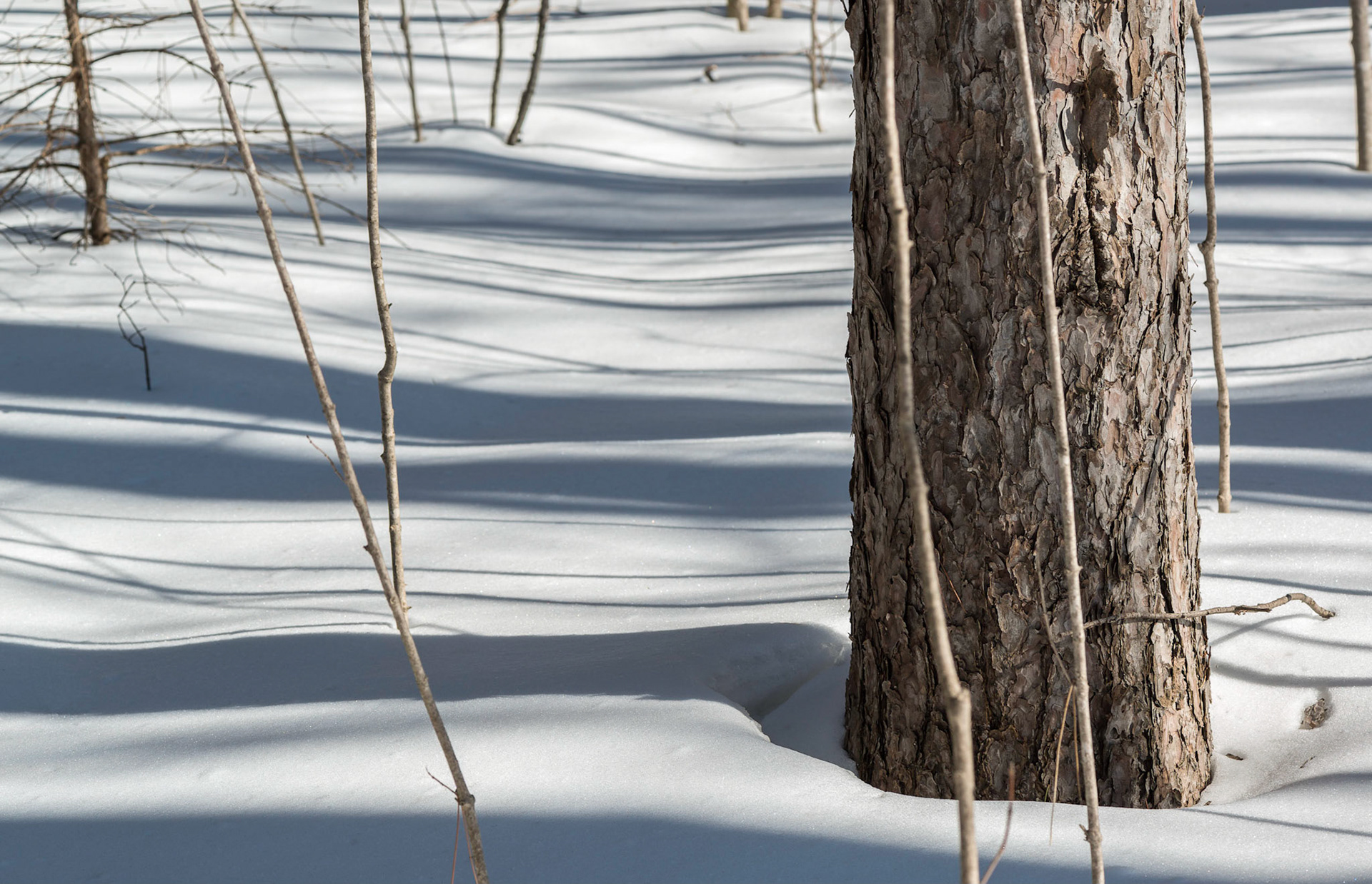 There are always ways to make interesting photos. Normally, harsh sunlight isn't ideal for landscapes, but on this outing it was perfect because it rendered wonderful lines of shadow.