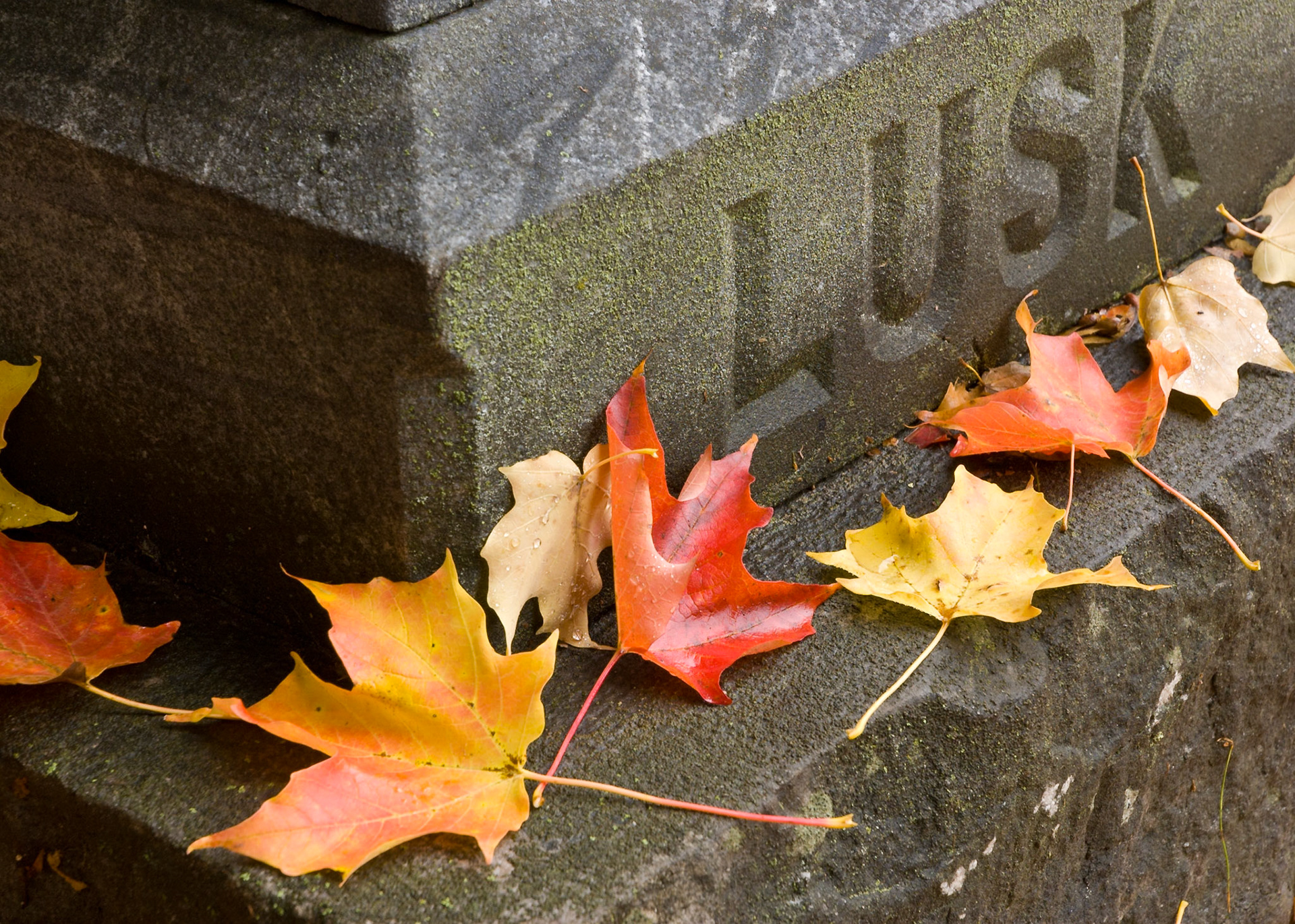 Beechwood Cemetery, Ottawa; RA Photo Club Outing; September 2008