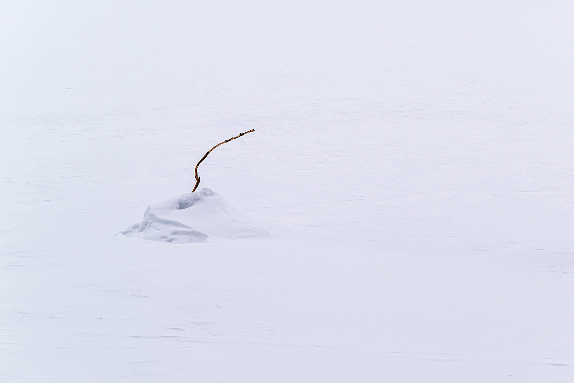 Minimalism and simplicity. I took other shots with larger subjects in the frame, but I prefer this one for the shape of the twig and the larger amount of negative space.