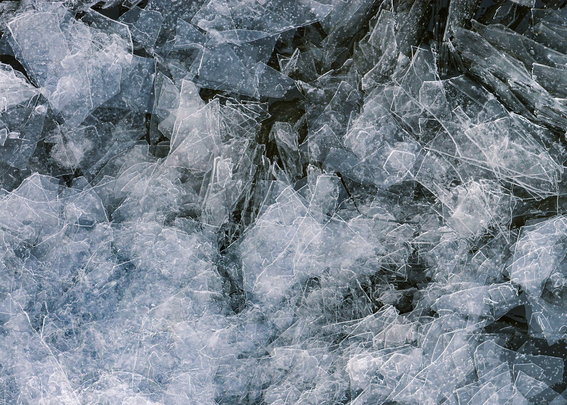 I enjoy the angularity and prominent edges of these ice crystals. As usual, I took several shots to explore different compositions. This is the composition I find most pleasing.