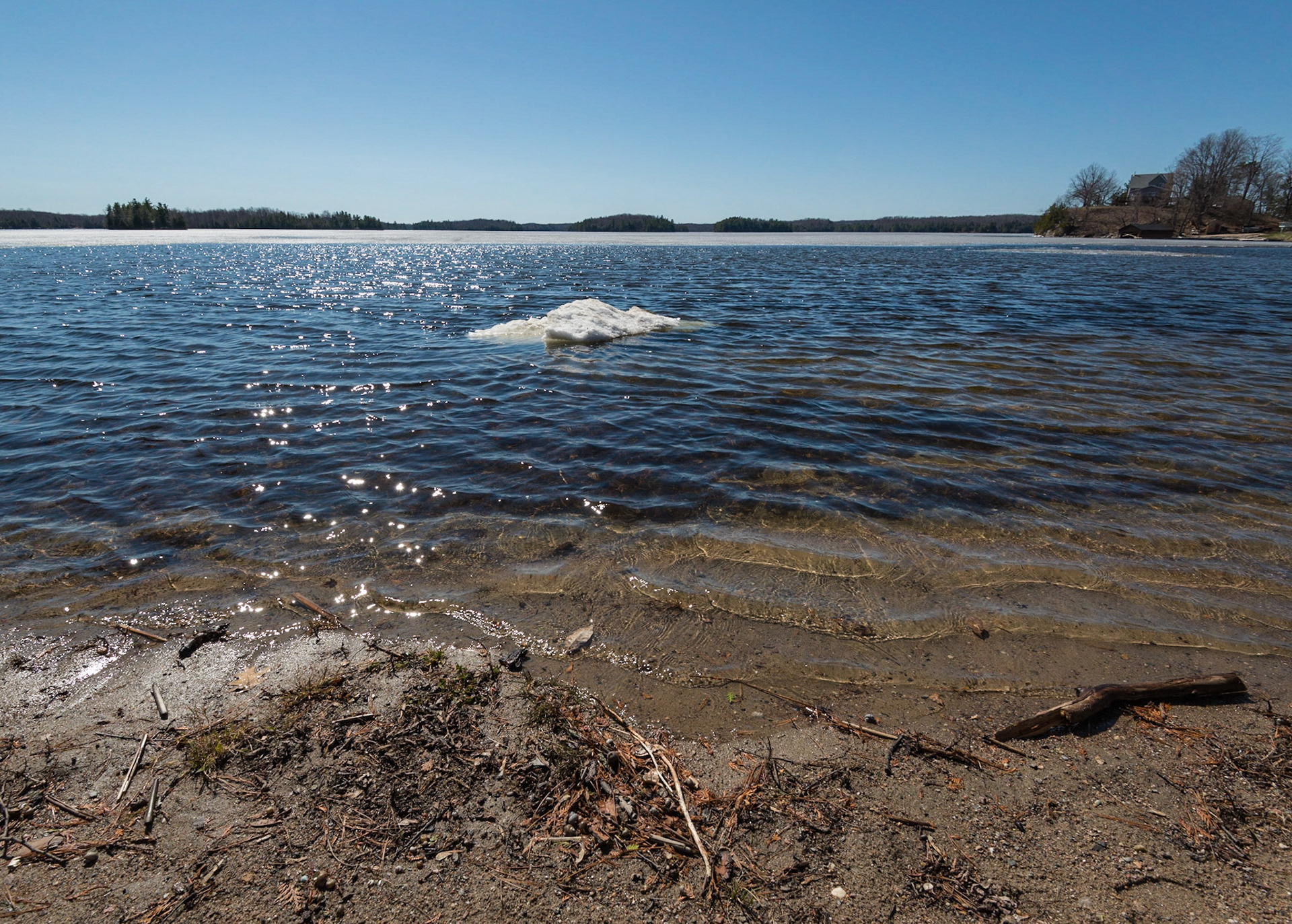 An unlikely find - an "iceberg" floating just off the beach of a small park