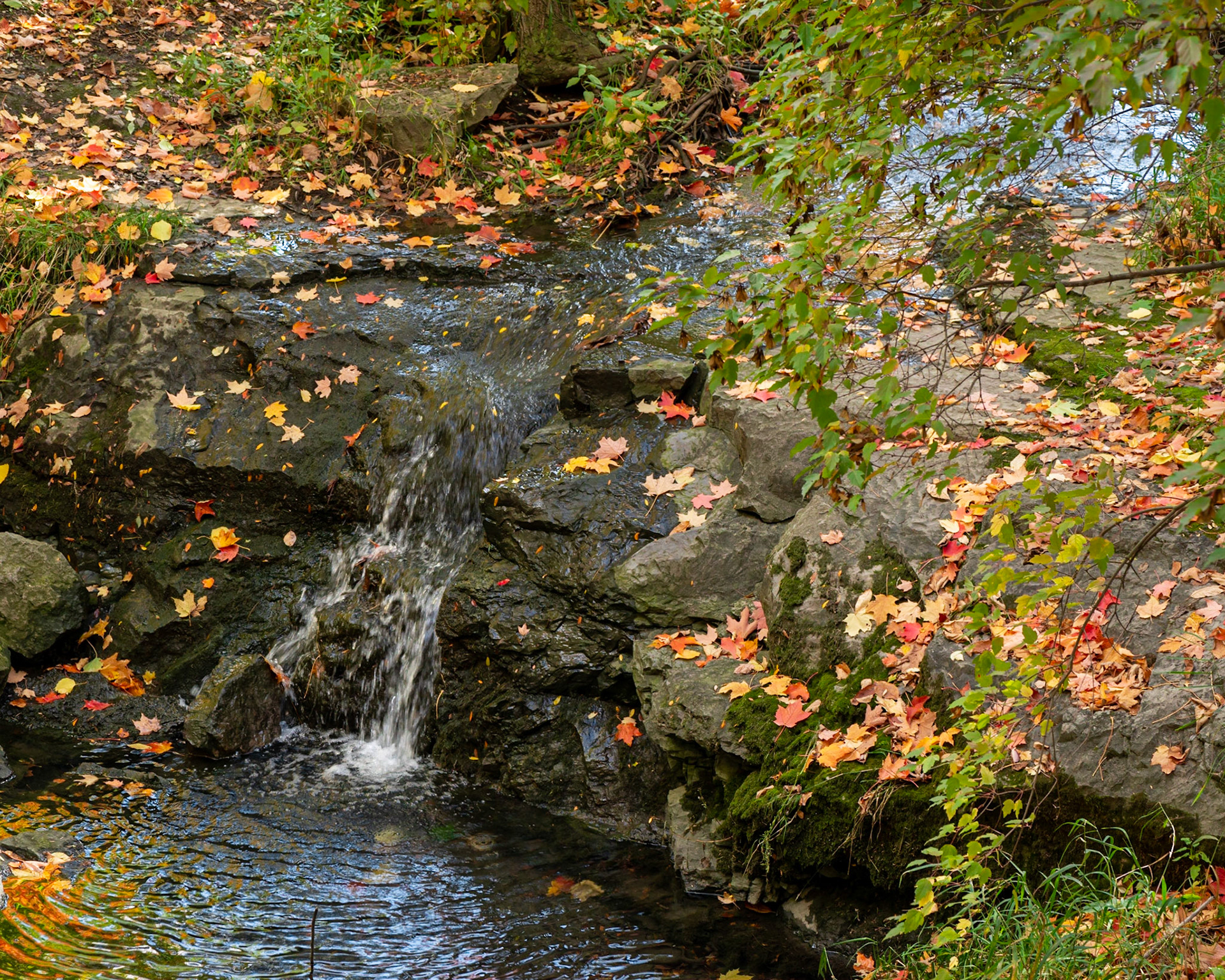 A tiny waterfall found at the upper part of the brook. The rock face is entirely natural.