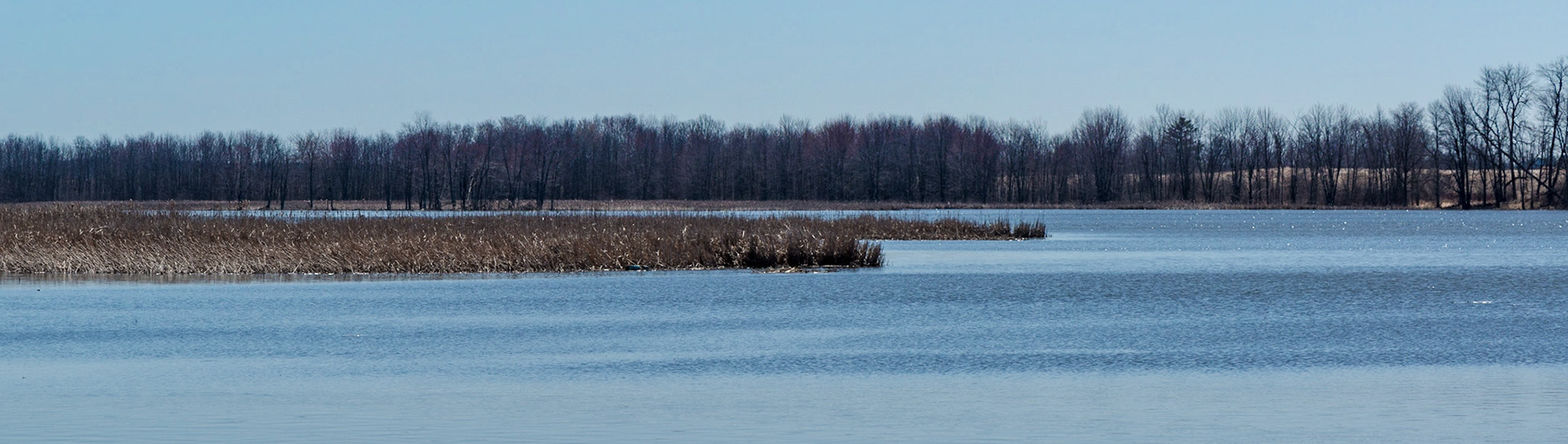 A feature of the park is a large boardwalk above an area of water. This view emphasizes the horizontal striations of the trees, marshes and wind-blown water.