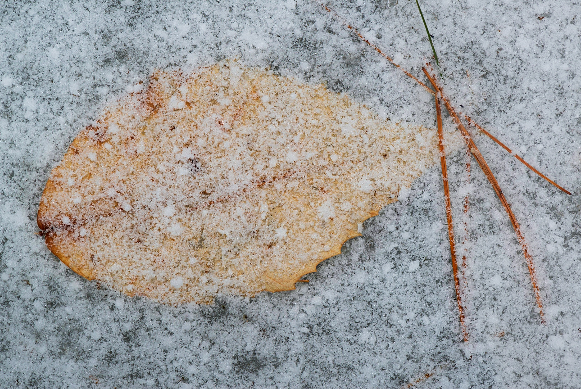 I found the yellow/blue colour contrast and textures appealing in this shot.