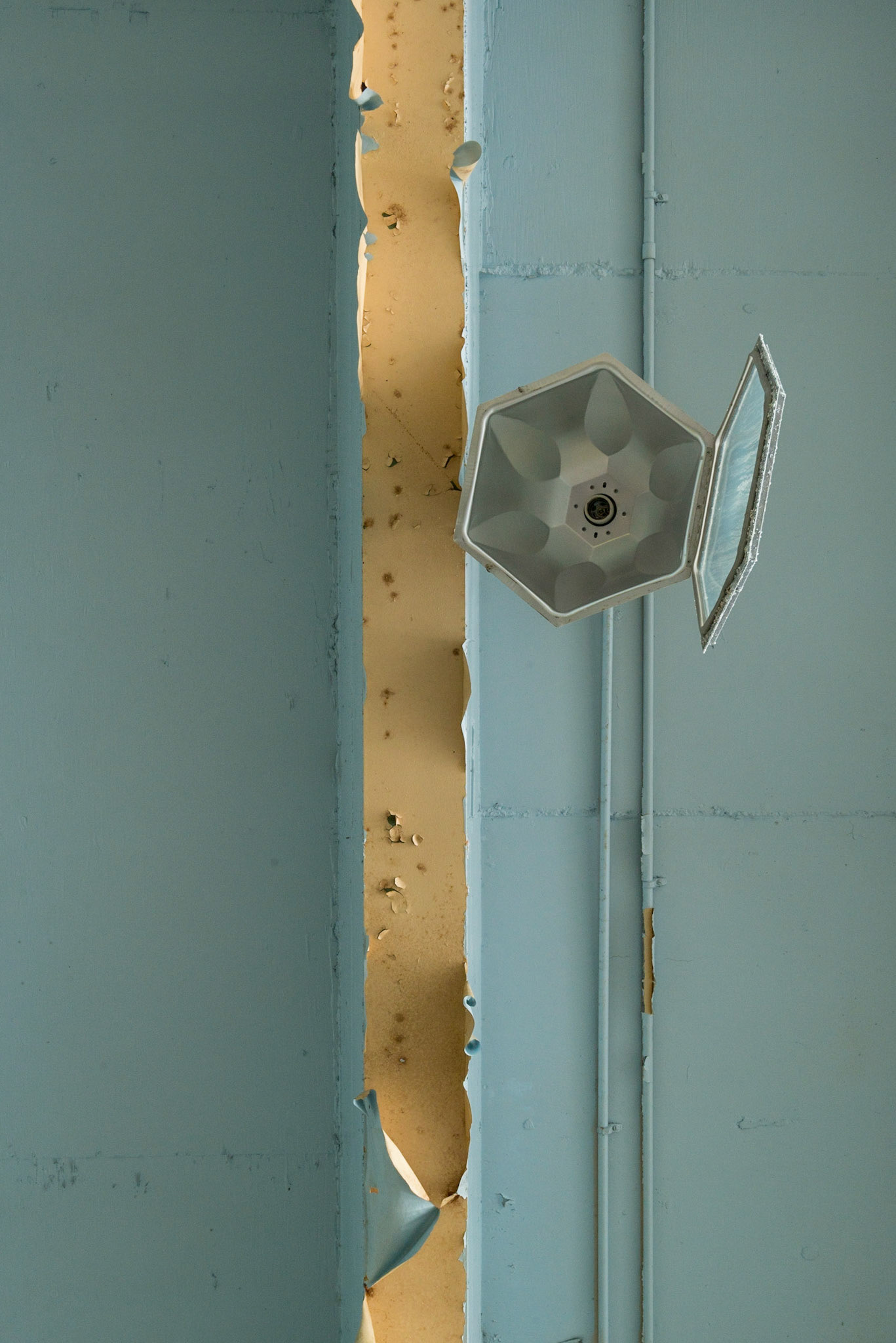 Sometimes it pays to look up as well as around, since the ceiling also holds interest