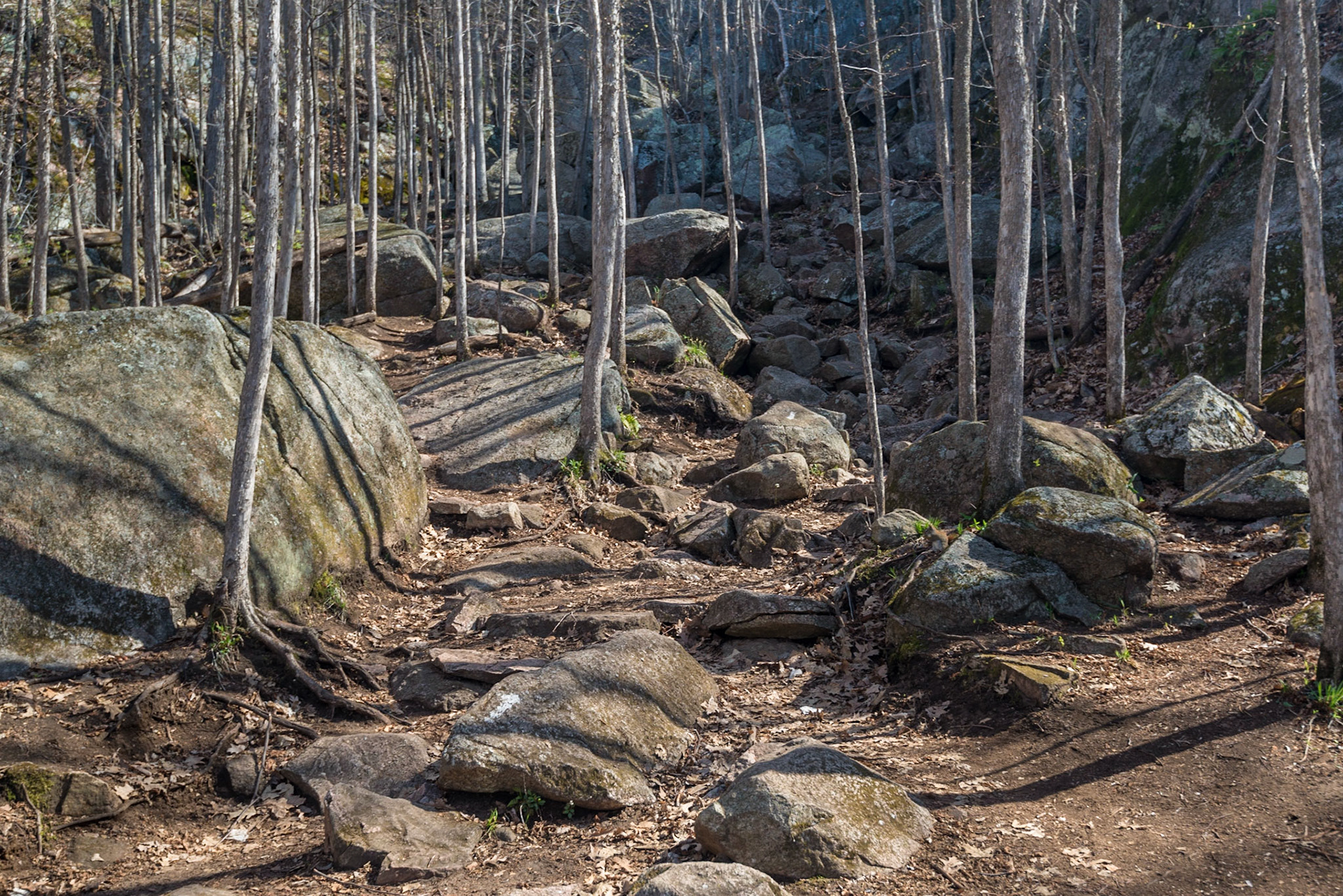 It doesn't look like much of a trail, but this is the trail leading up to the fire tower above Luskville Falls