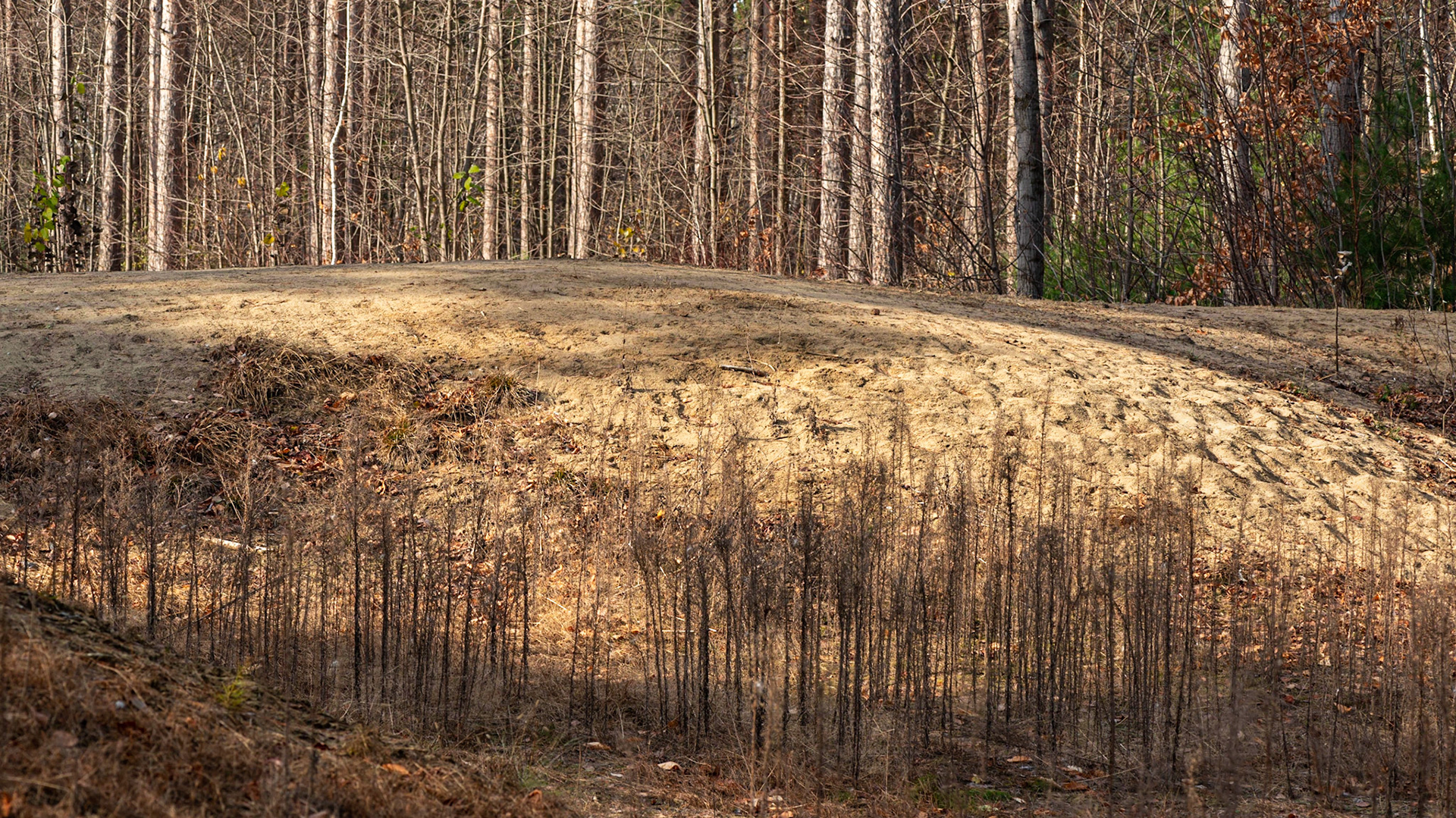 Site 3. I love the layers and combination of verticals and horizontals in this shot.