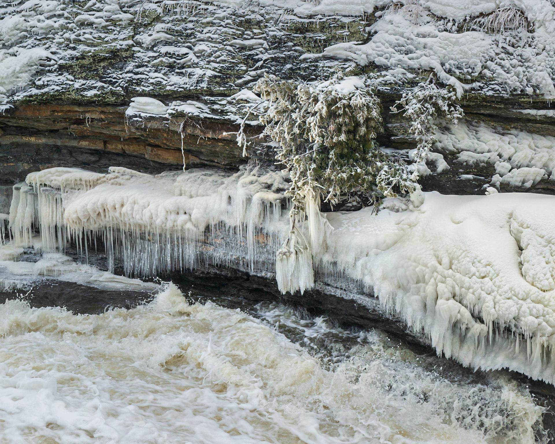 The plant precariously leaning over the water is the main subject here, with the left of center icicles perhaps serving as a secondary subject. These two subjects are mainly vertical, and in the background we have three mostly horizontal layers of foliage, ice, and water.