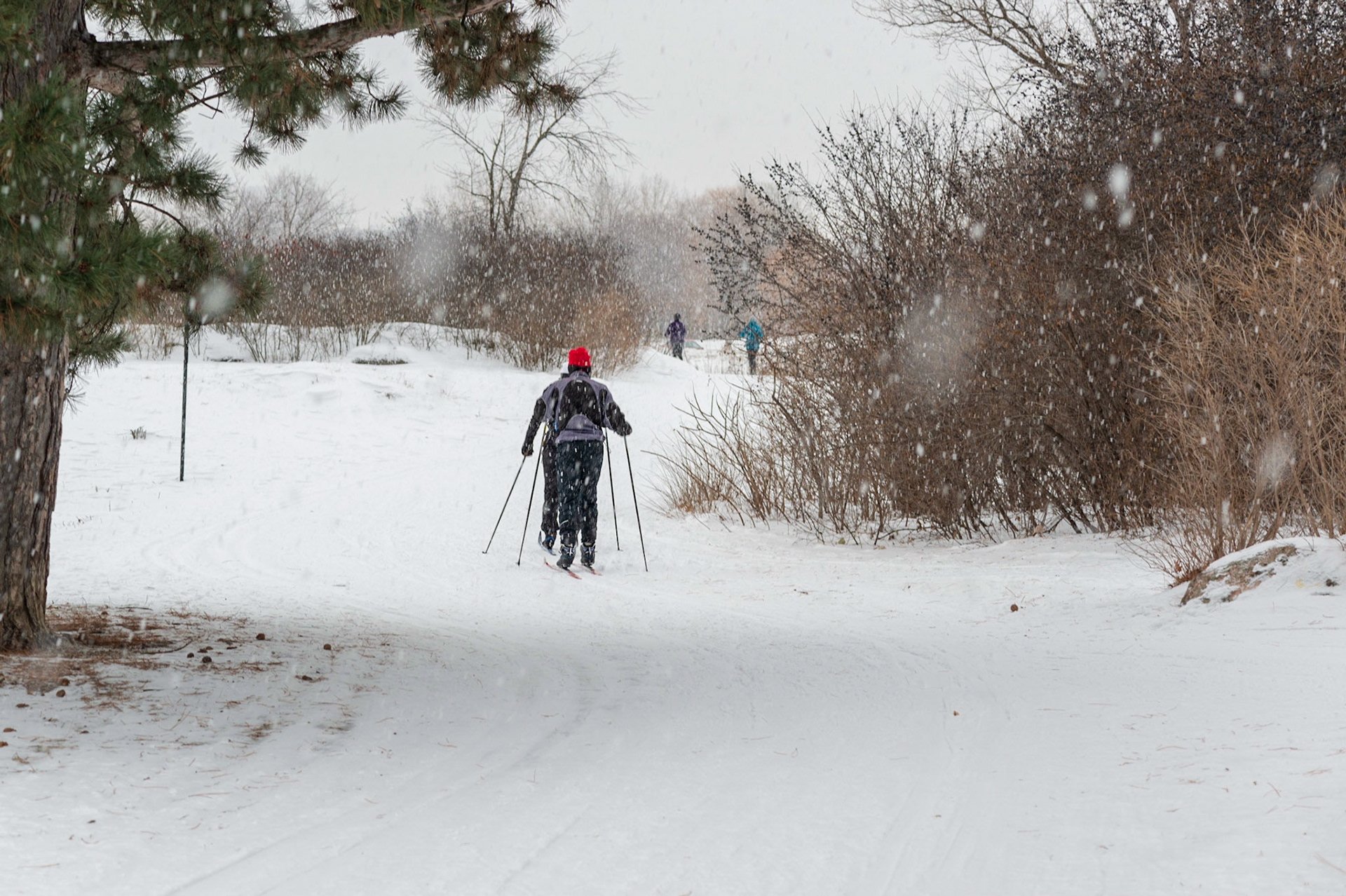 The Ottawa River Parkway offers paths for walking and biking for 9 months of the year, and ski trails in the winter.