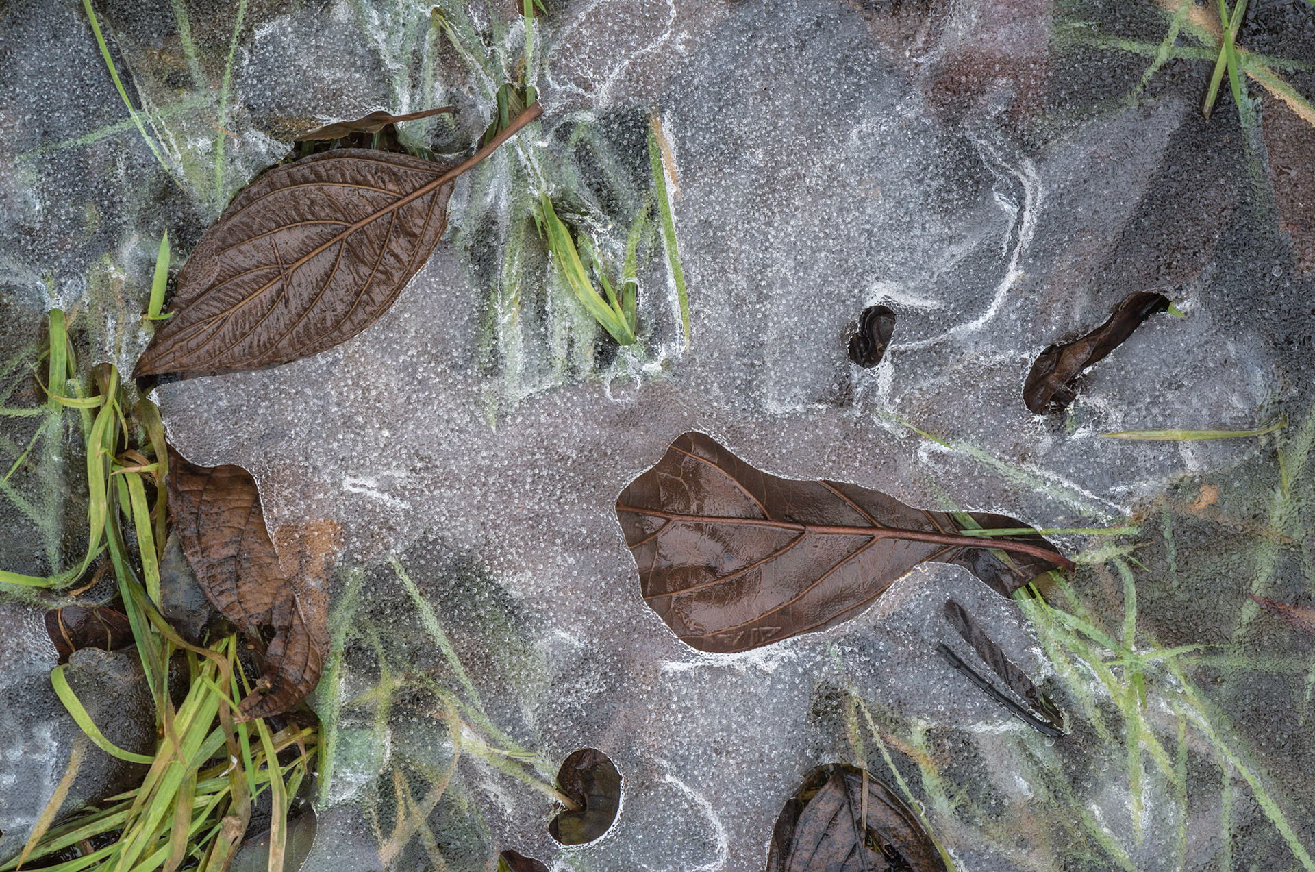 I love making these sorts of photographs, where I try to combine interesting colours and textures into a pleasing composition.