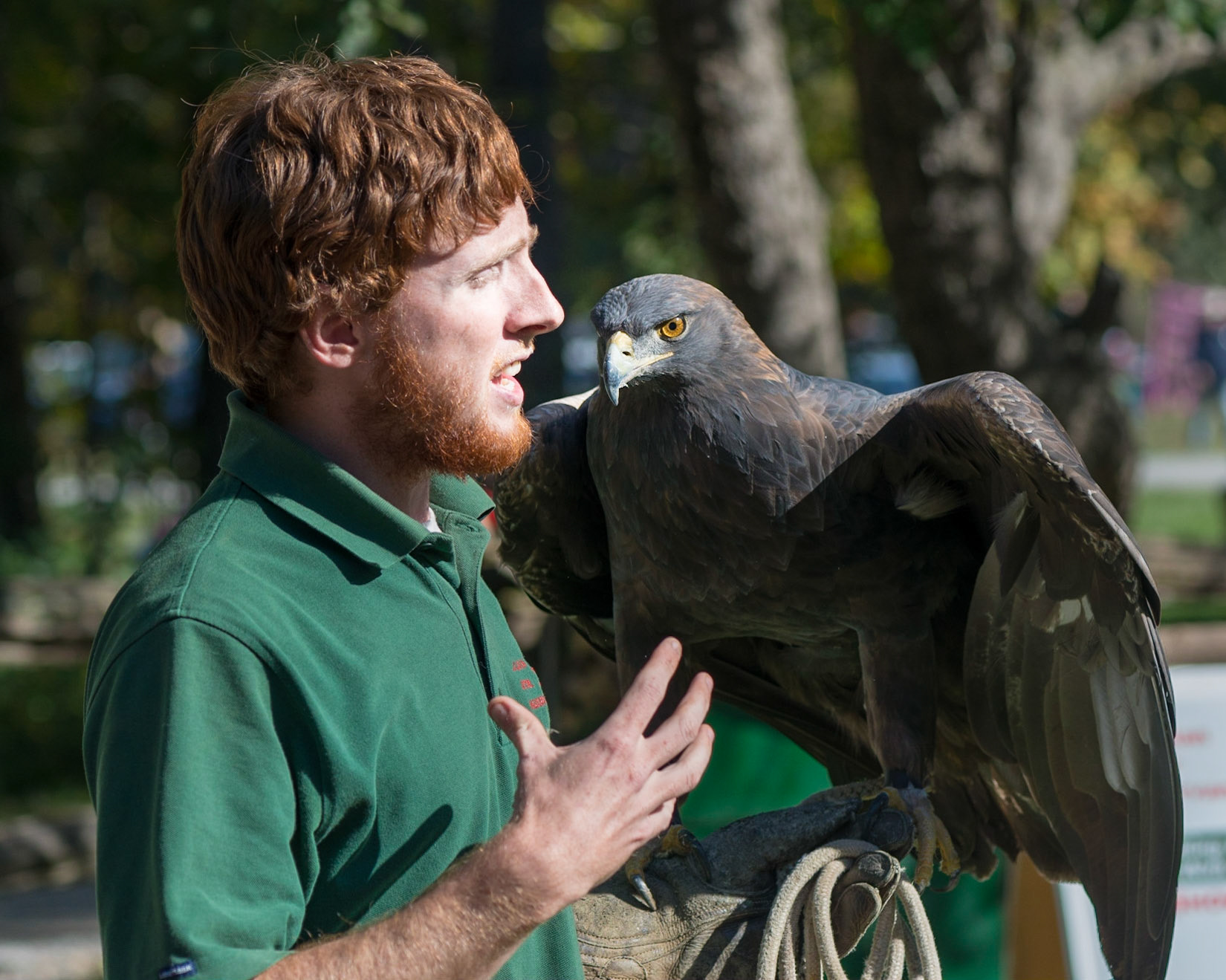 Eagles are truly magnificent birds and surprizing large to those of us used to small song birds. Here an eagle is giving me "the eye"