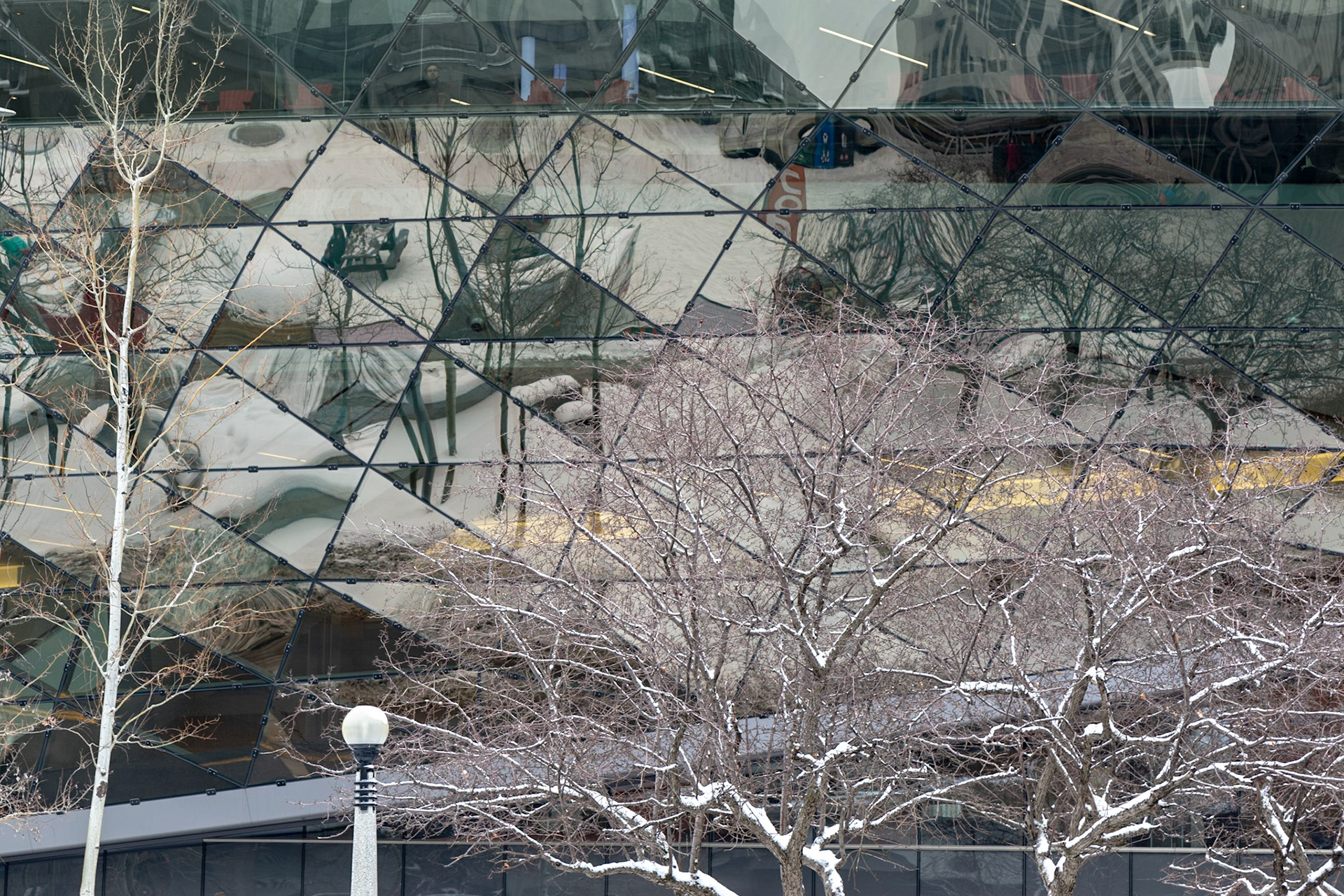 If you love reflections as I do, the Shaw Centre is a wonderful building to photograph. Here, I've combined the real (foreground) with the surreal (reflections).